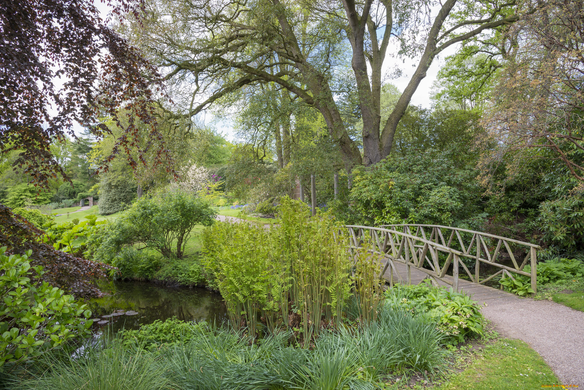 природа, дороги, лес, река, мостик