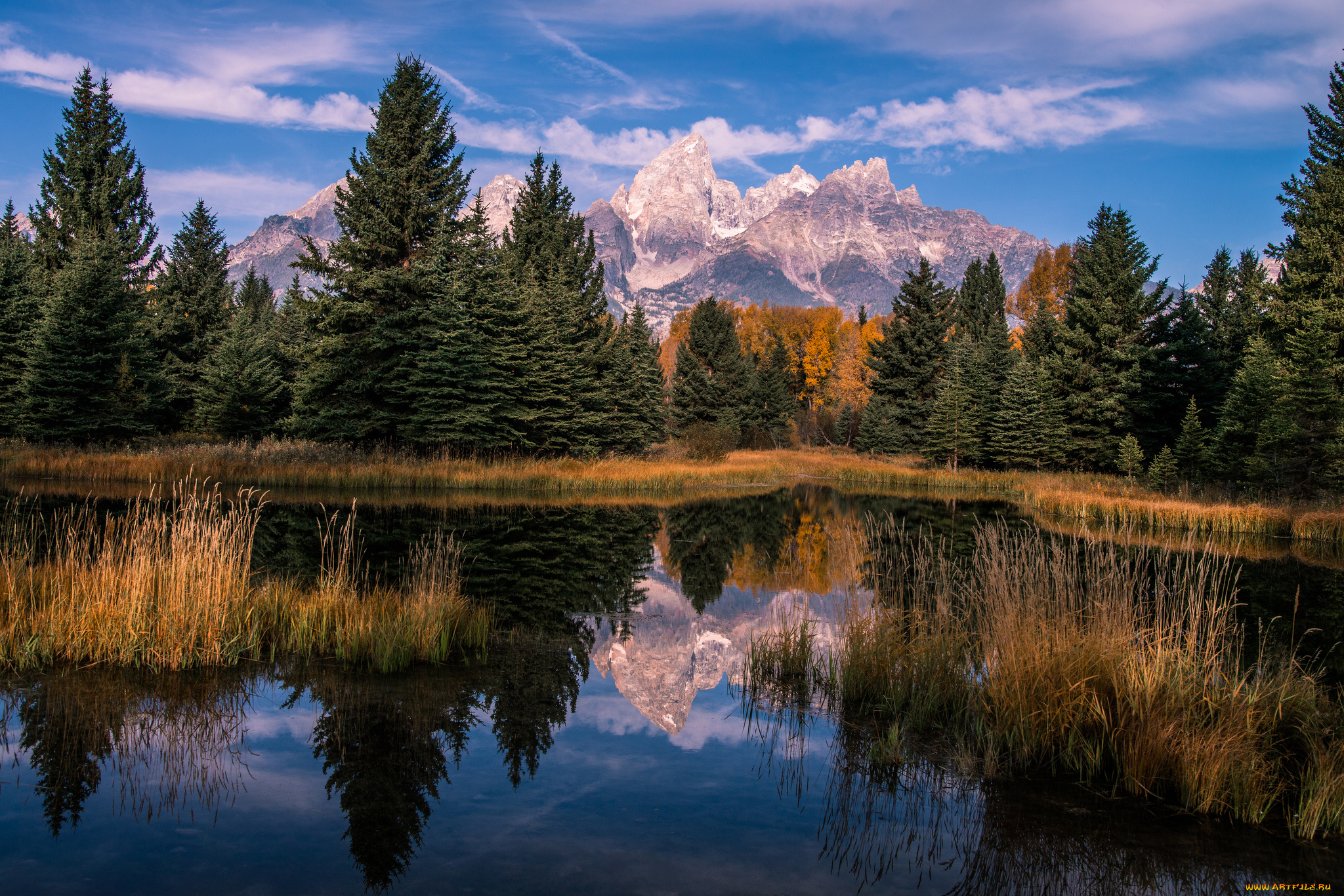 природа, реки, озера, река, лес, горы