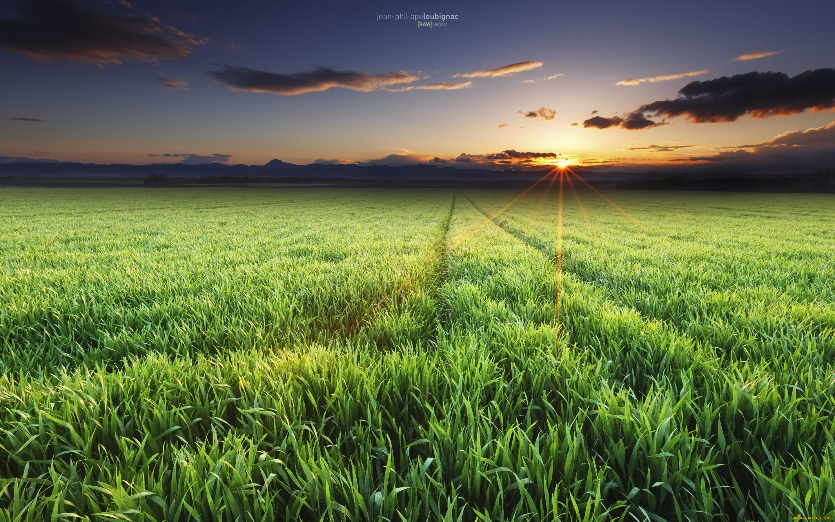 природа, восходы, закаты, весна, апрель, поле, солнце, лучи