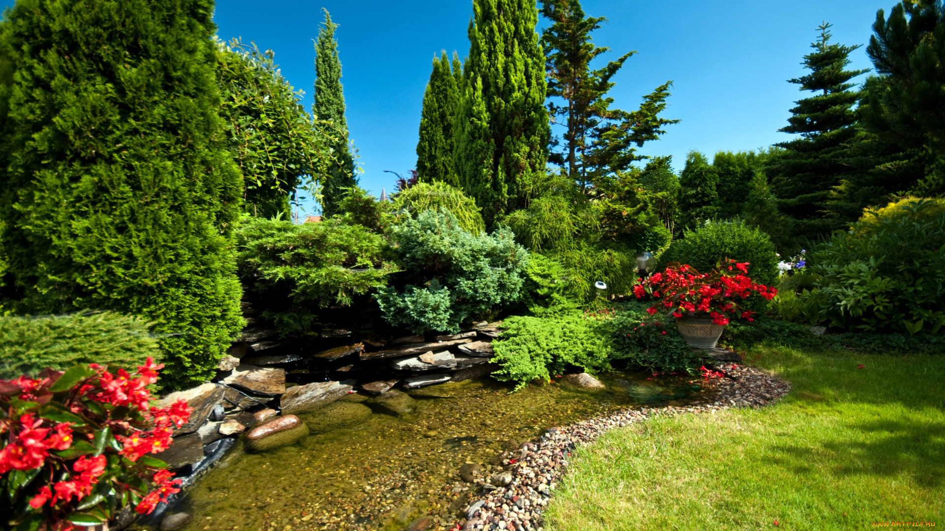 природа, парк, цветы, лужайка, ручей