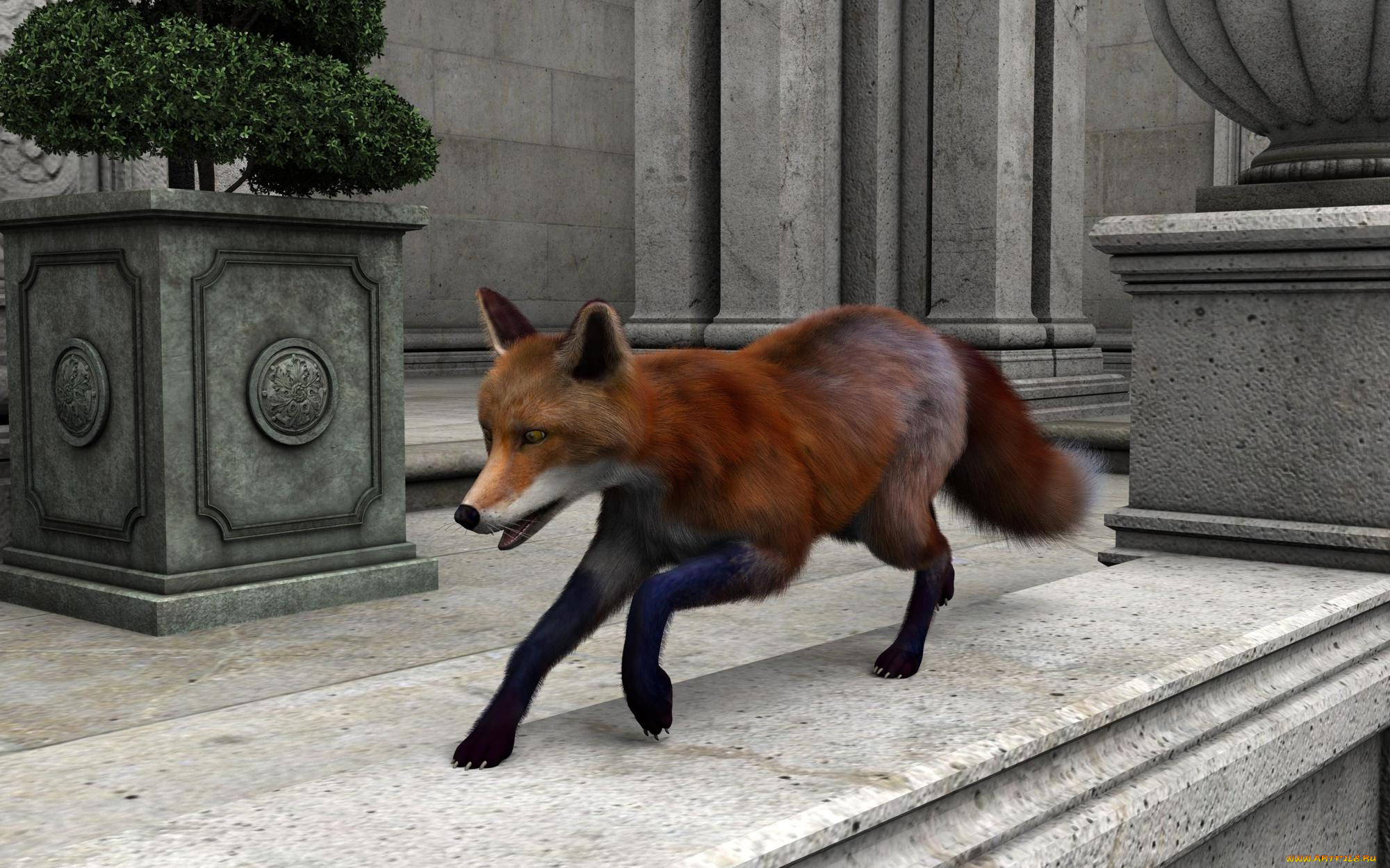 3д, графика, животные, , animals, лиса