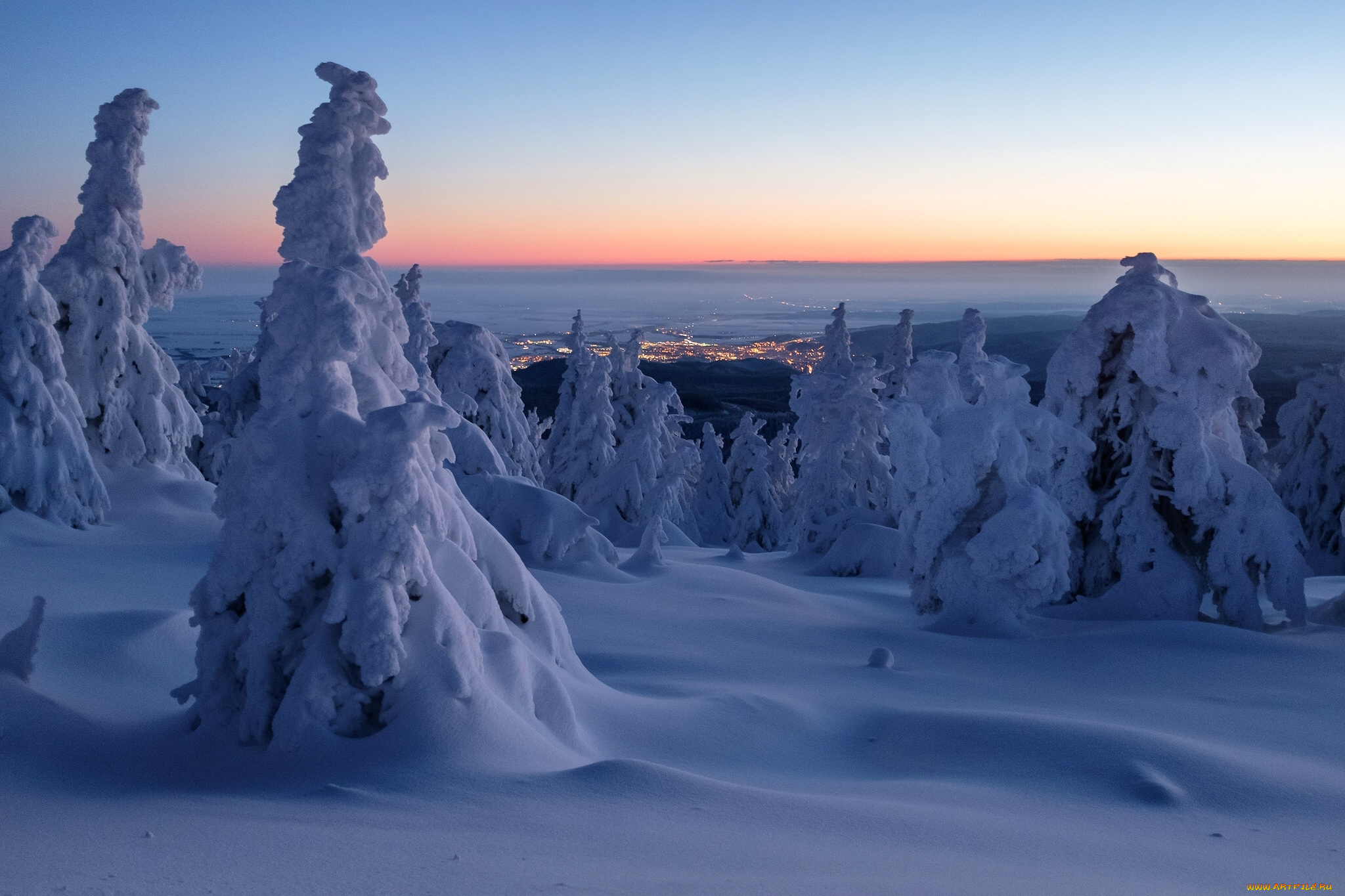 природа, зима, деревья, сугробы, снег, рассвет, панорама, утро, германия, саксония-анхальт, горы, гарц