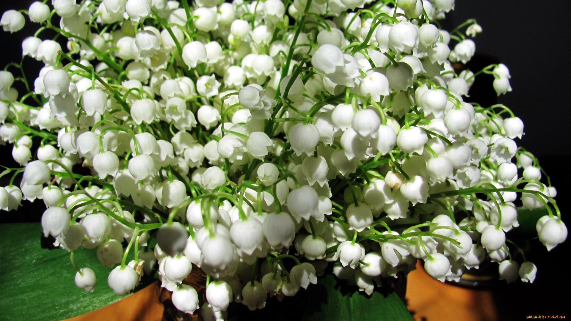 цветы, ландыши, майский