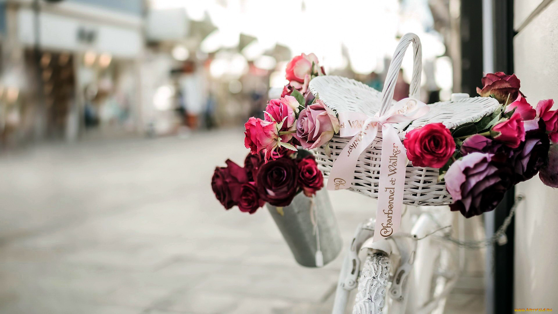 цветы, розы, бутоны, корзинка