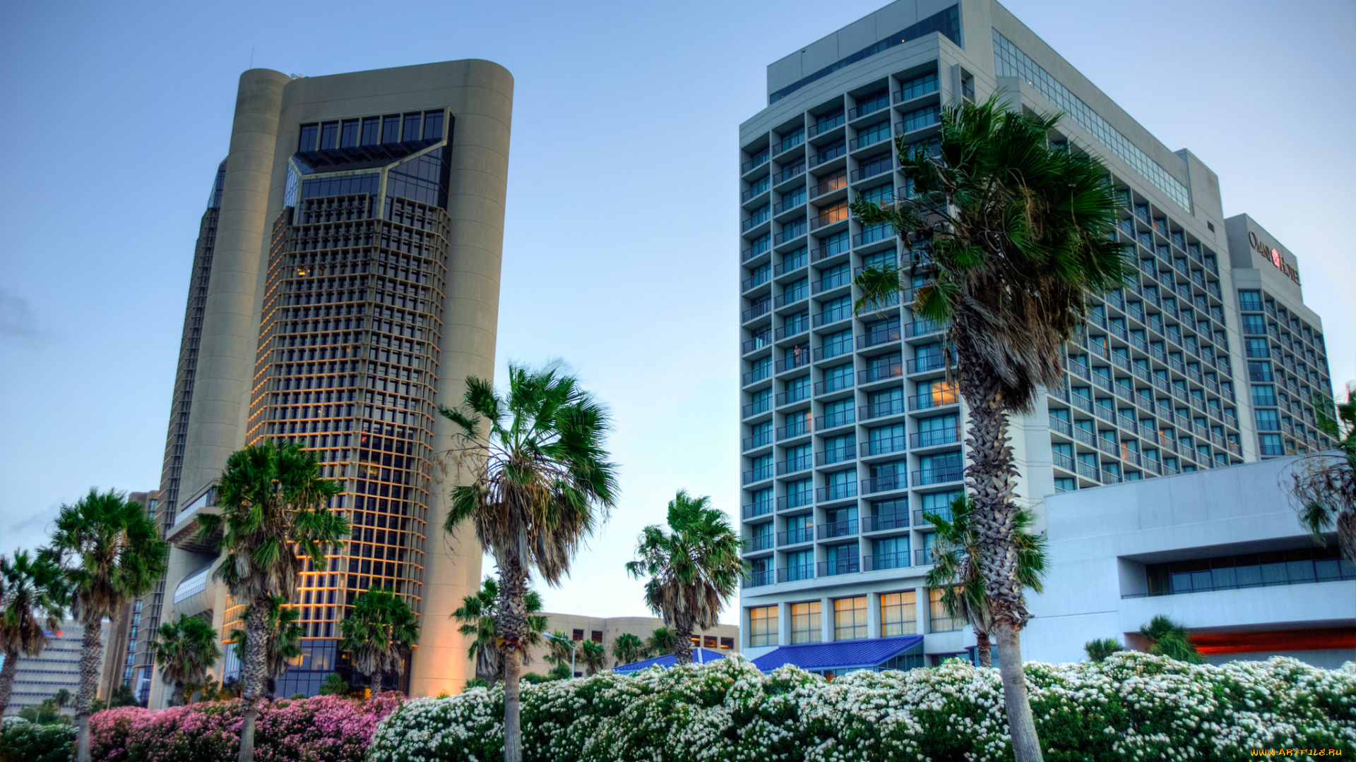 downtown, corpus, christi, , texas, города, -, здания, , дома, высотки