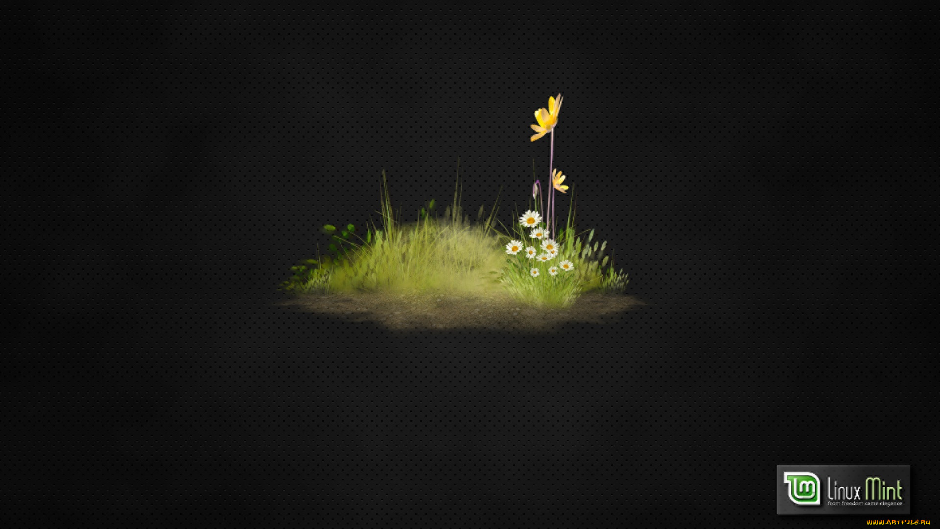 компьютеры, linux, фон, логотип