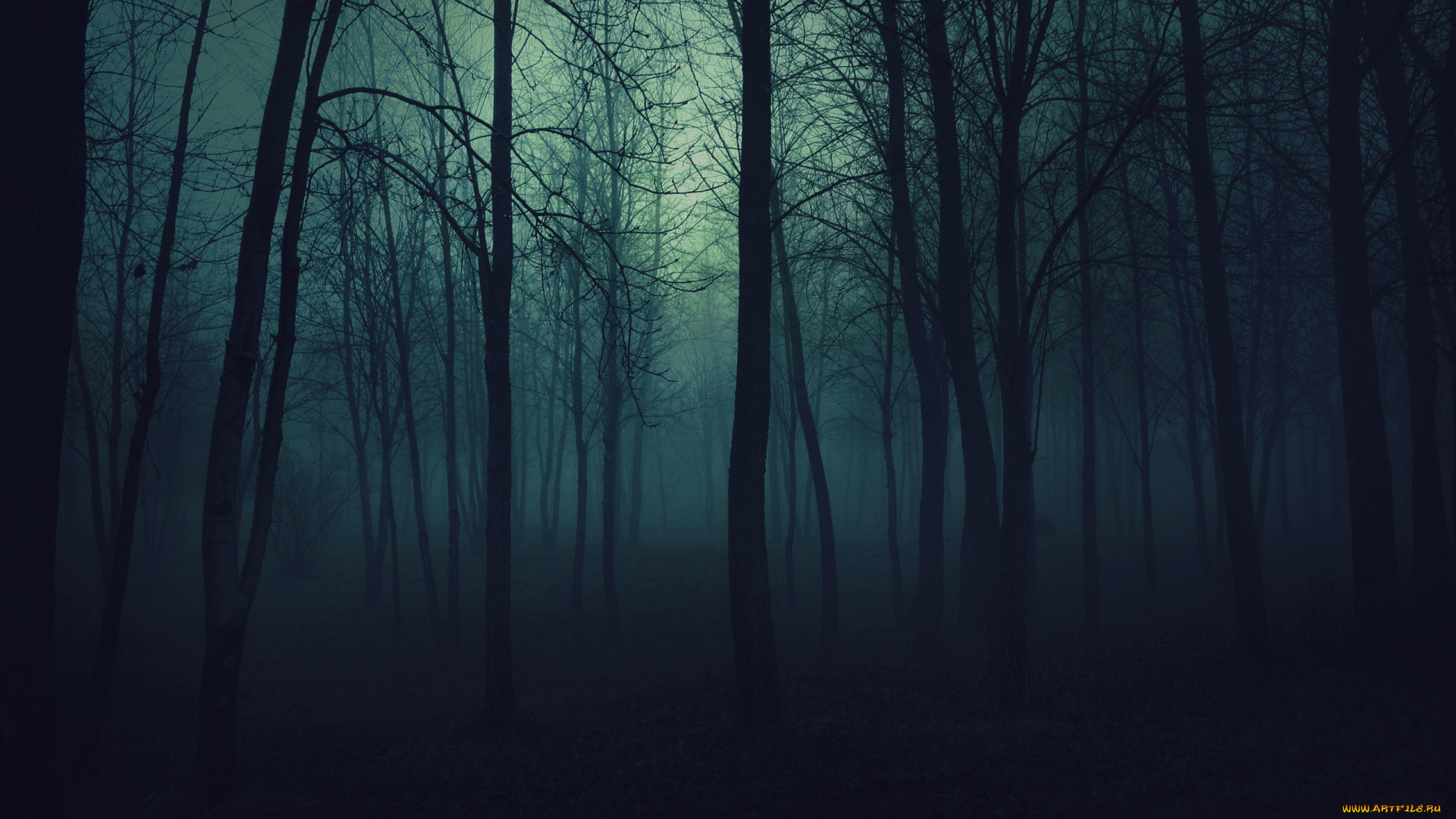 природа, лес