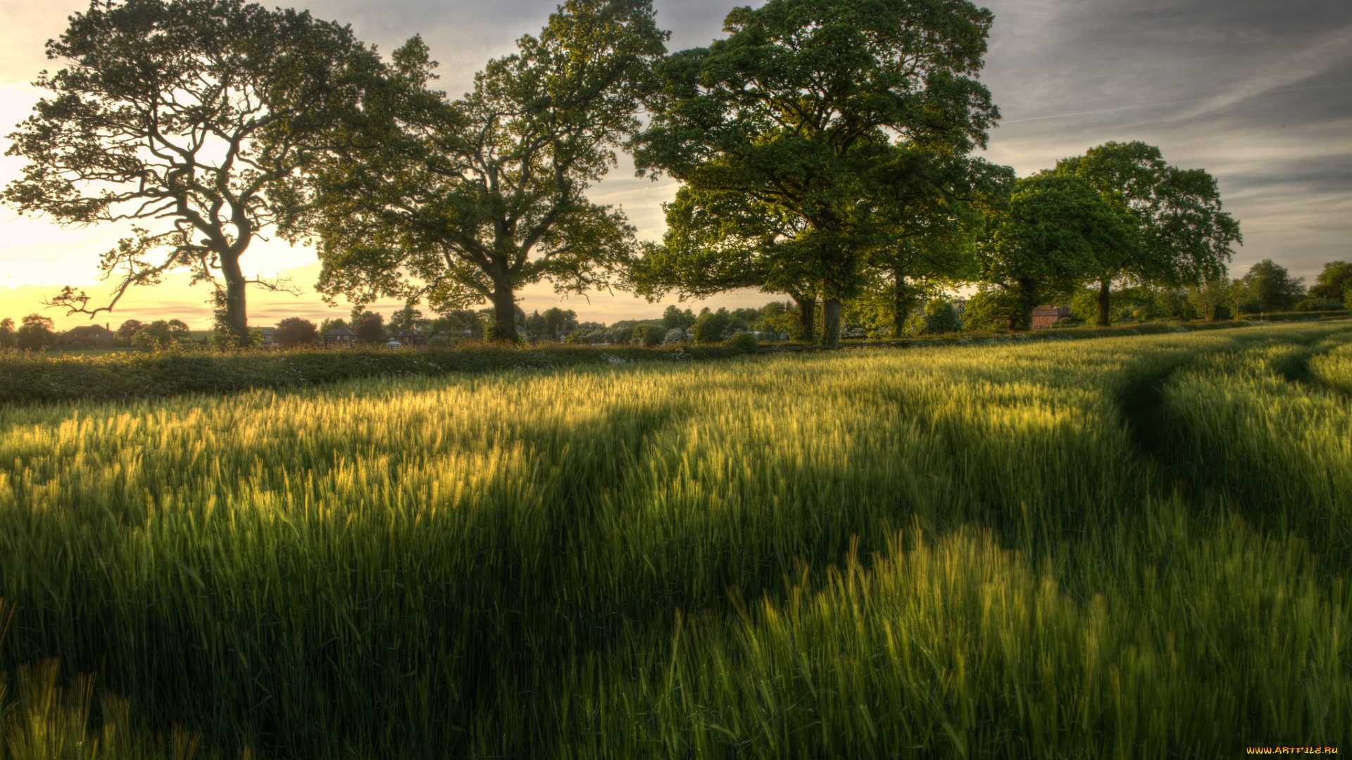 природа, пейзажи, простор