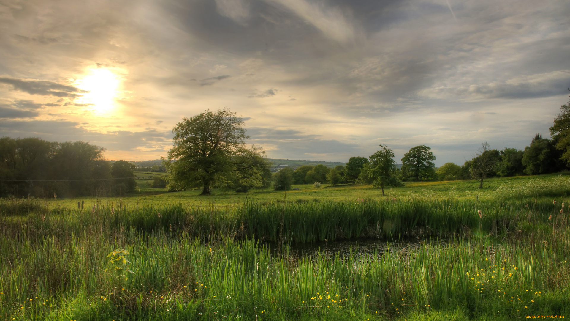 природа, пейзажи, простор