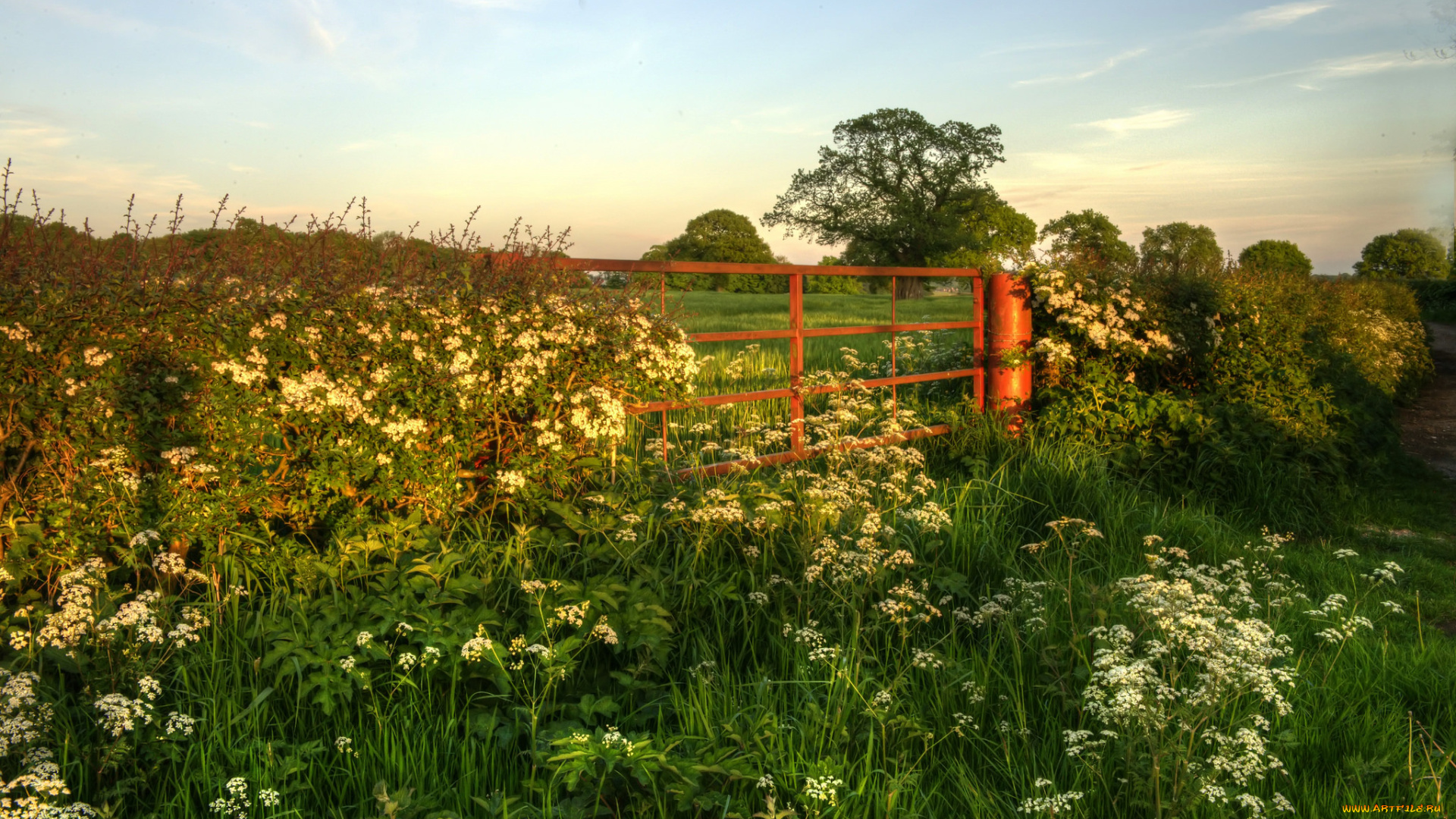 природа, пейзажи, простор