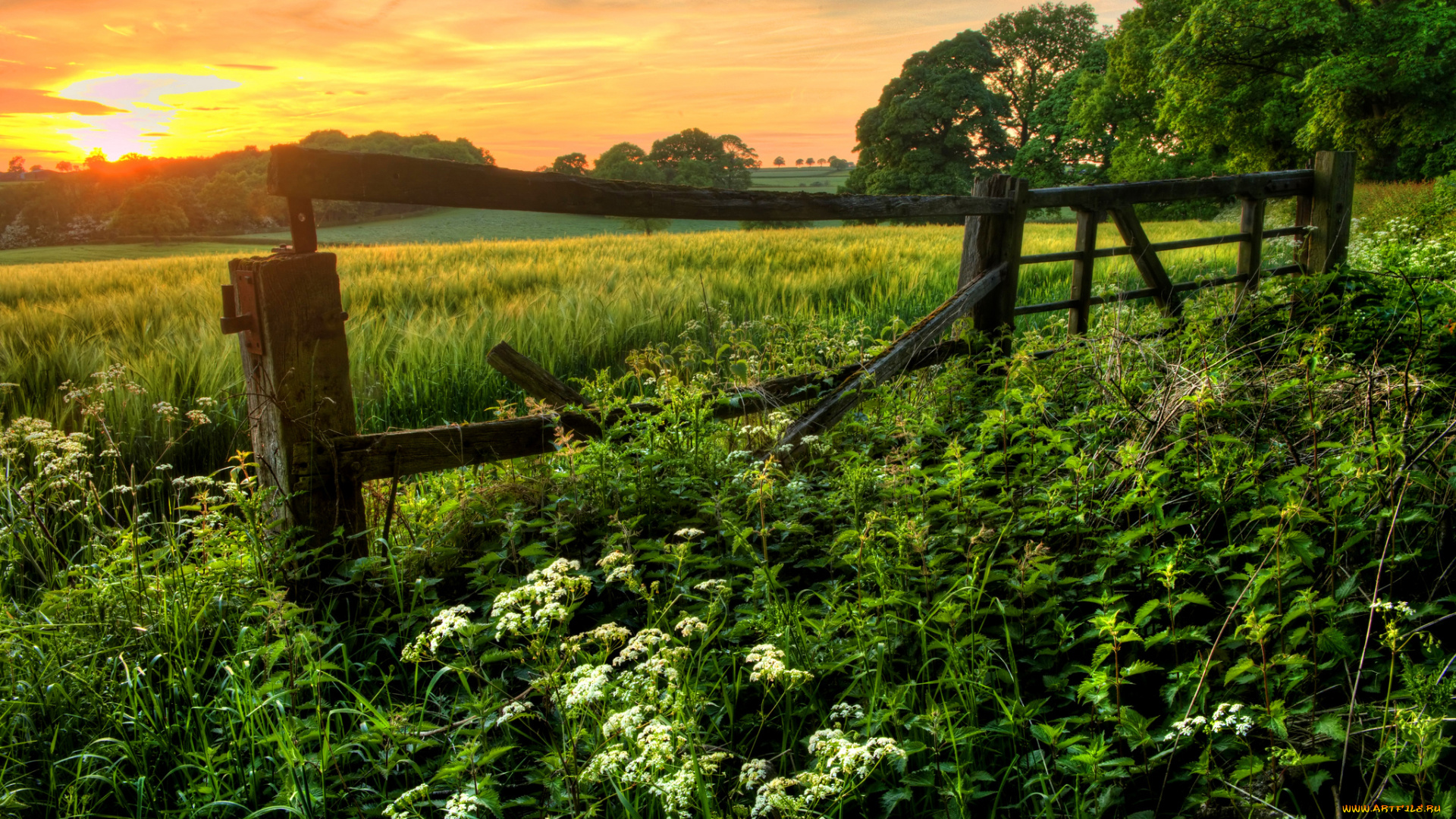 природа, пейзажи, простор