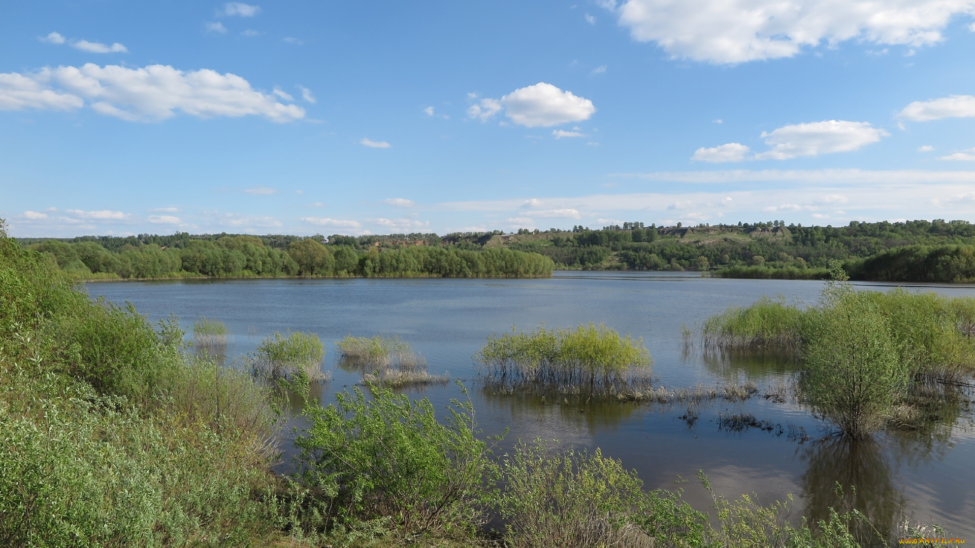 природа, реки, озера, деревья, река