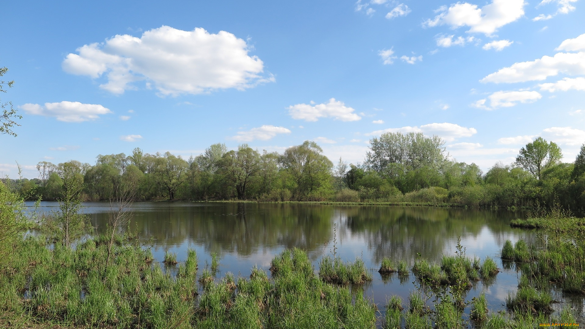 природа, реки, озера, деревья, река