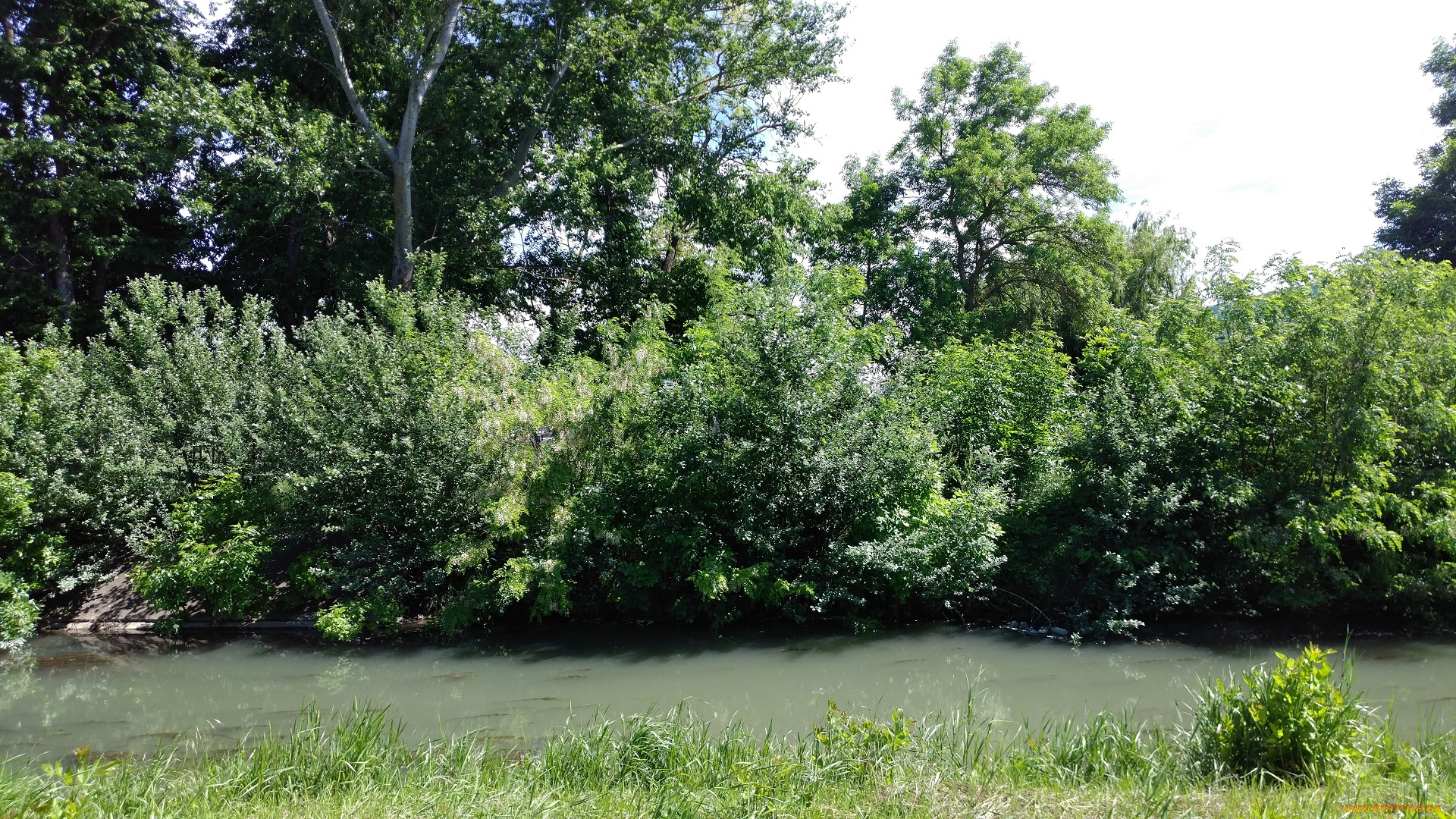 природа, реки, озера, весна, май, пейзаж