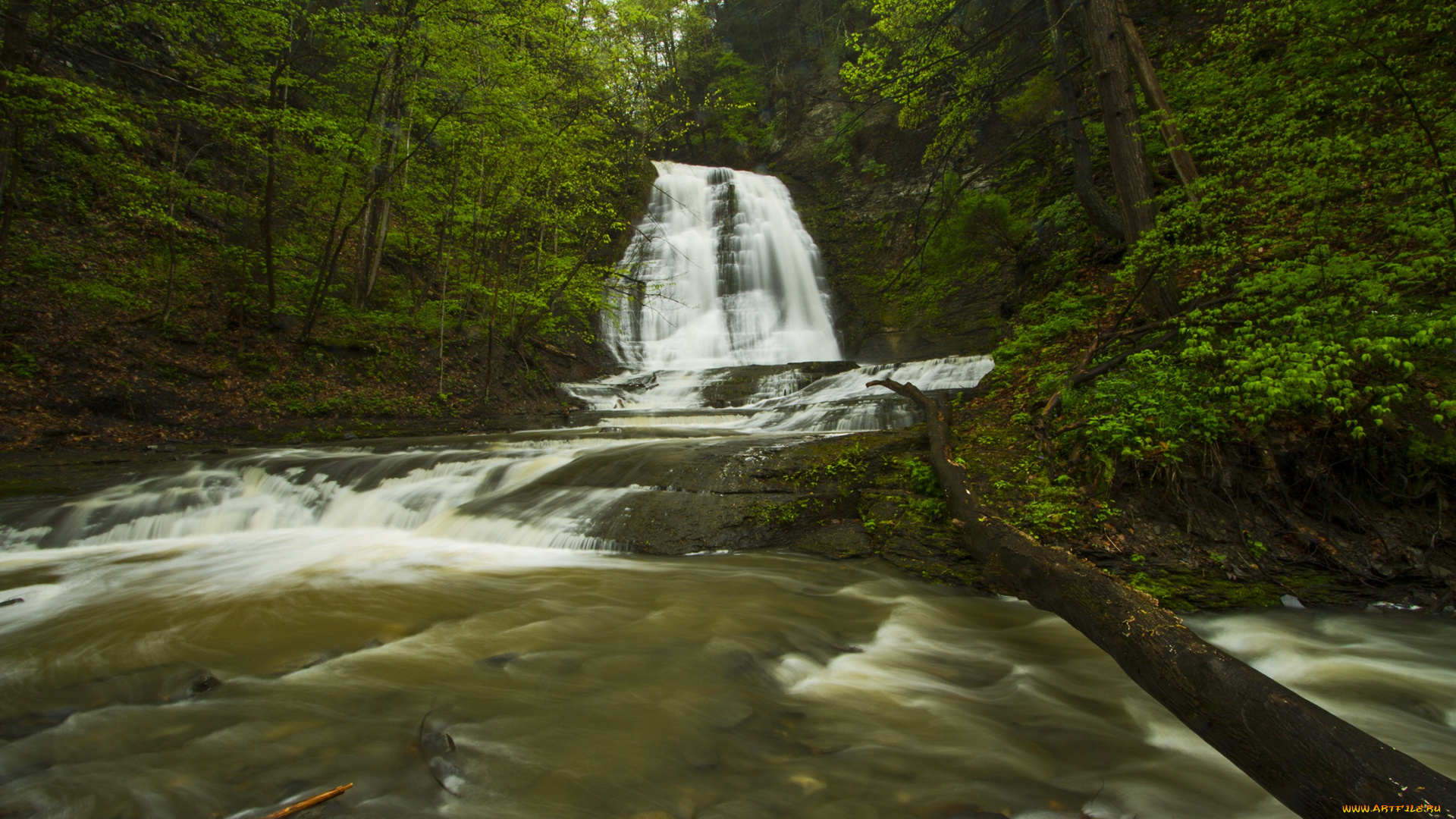 природа, водопады, поток, камни, лес