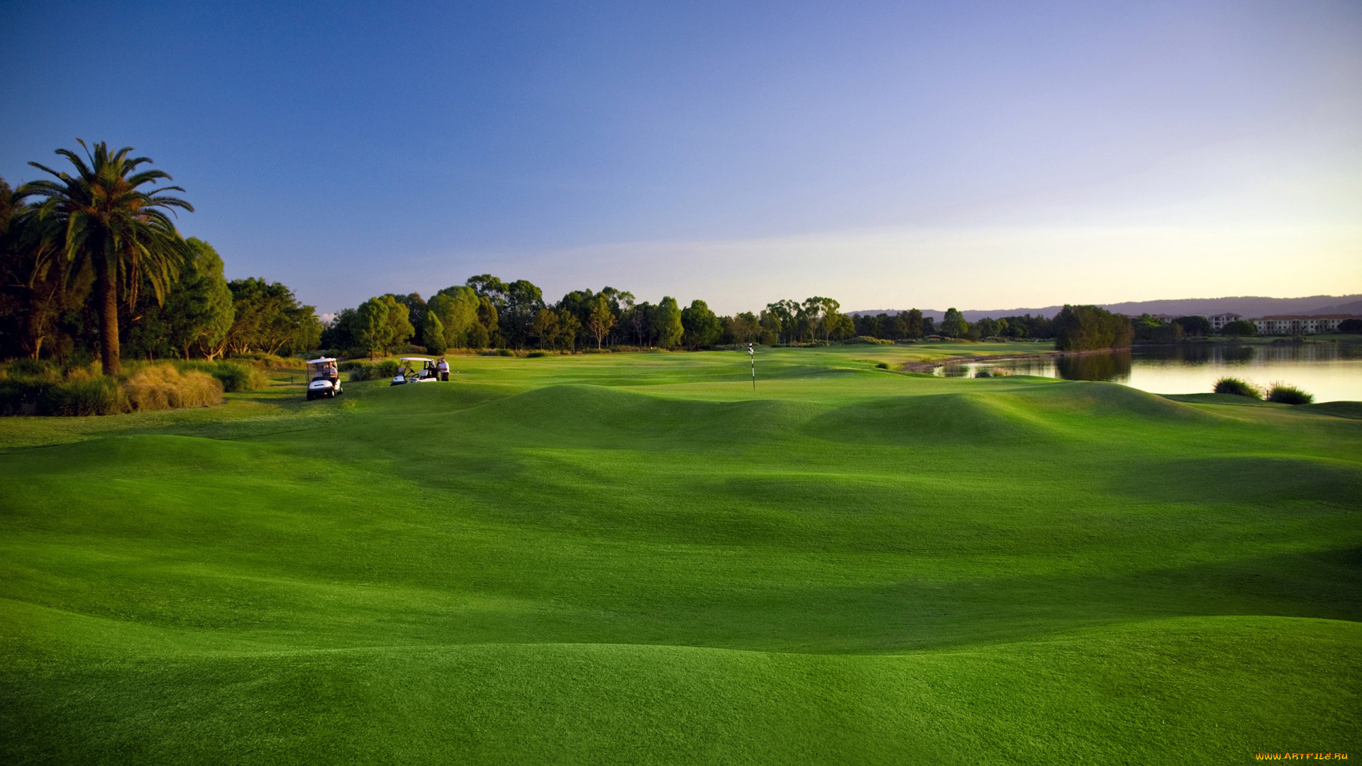 спорт, гольф, деревья, трава, газон, пальмы, поле, зелень, озеро, пейзаж
