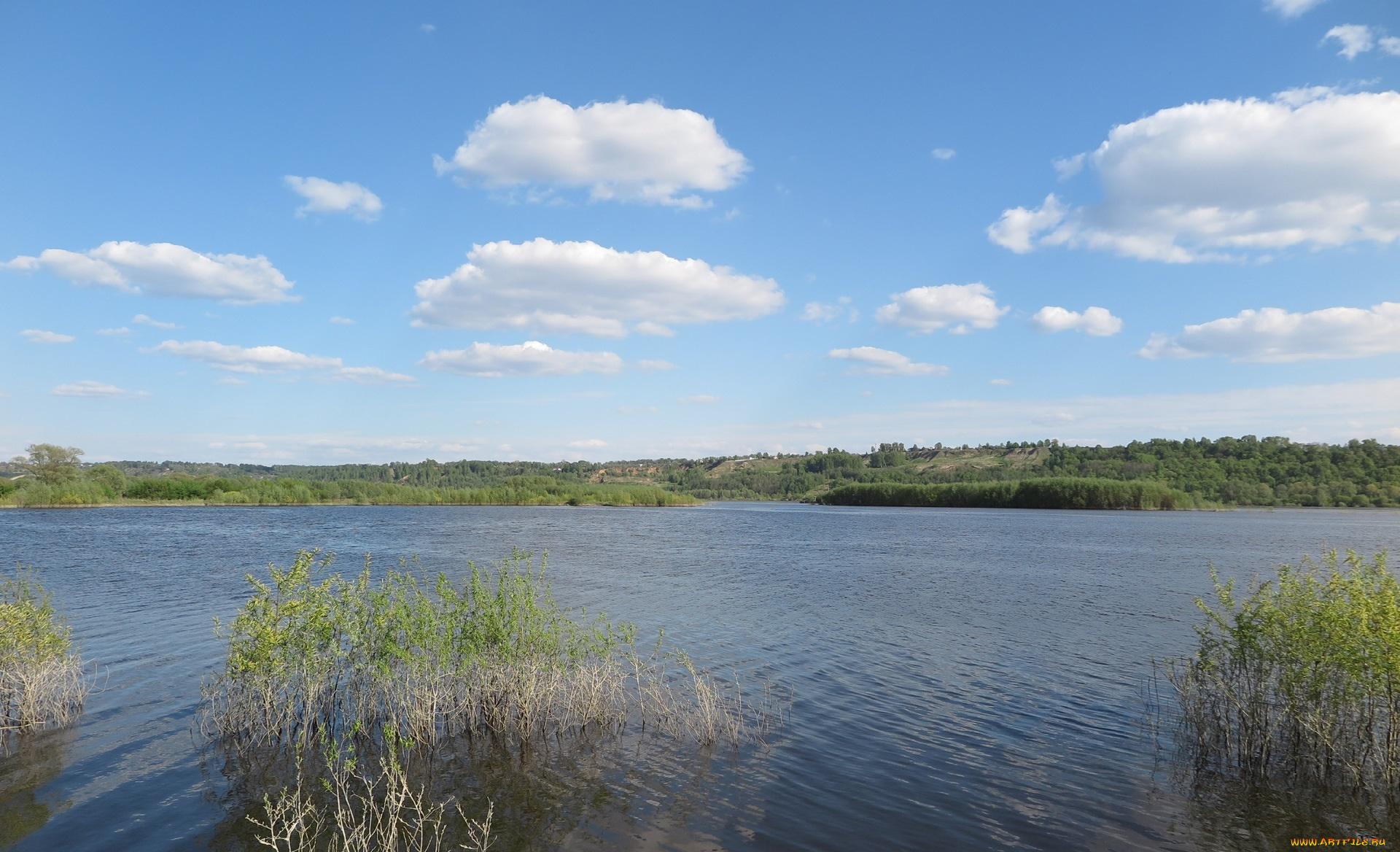 природа, реки, озера, река, деревья