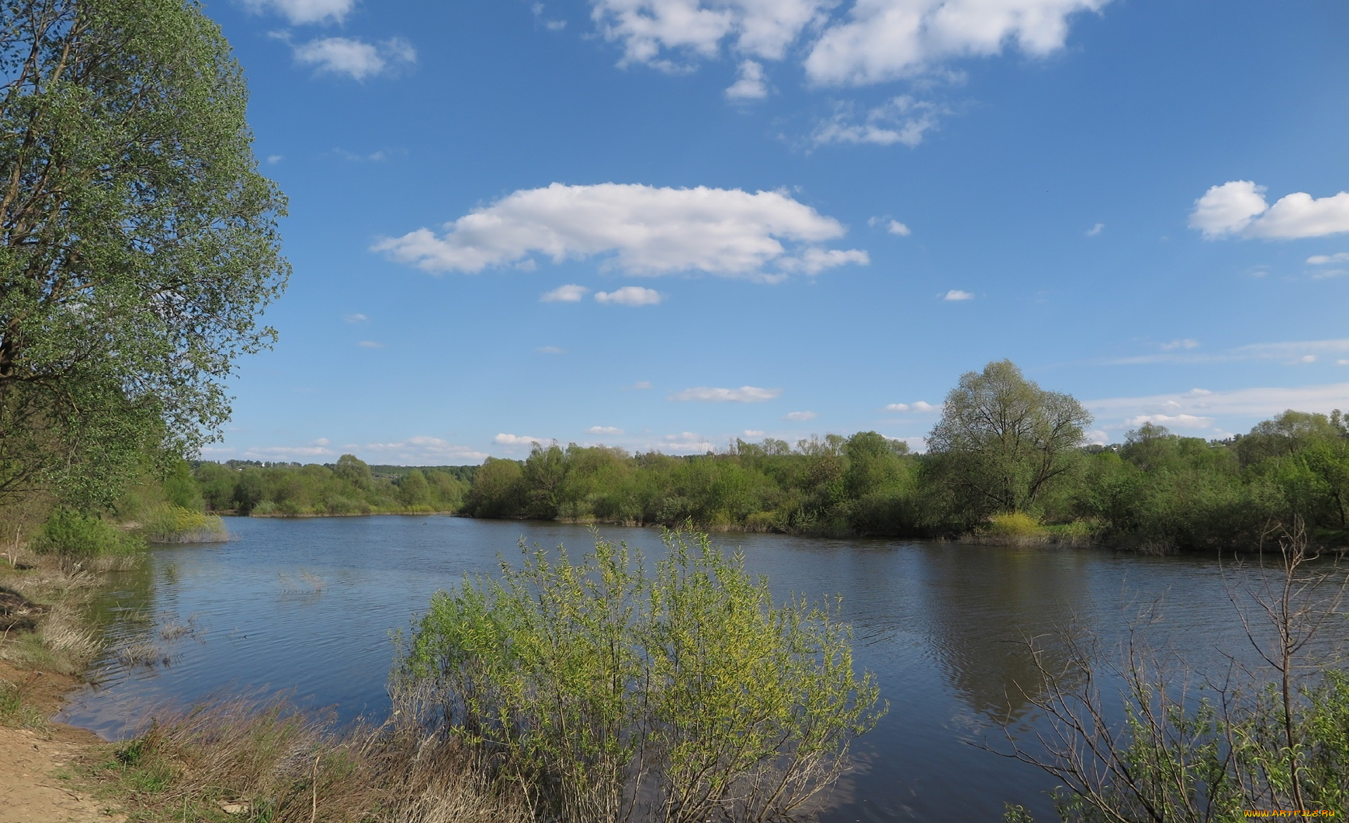 природа, реки, озера, деревья, река