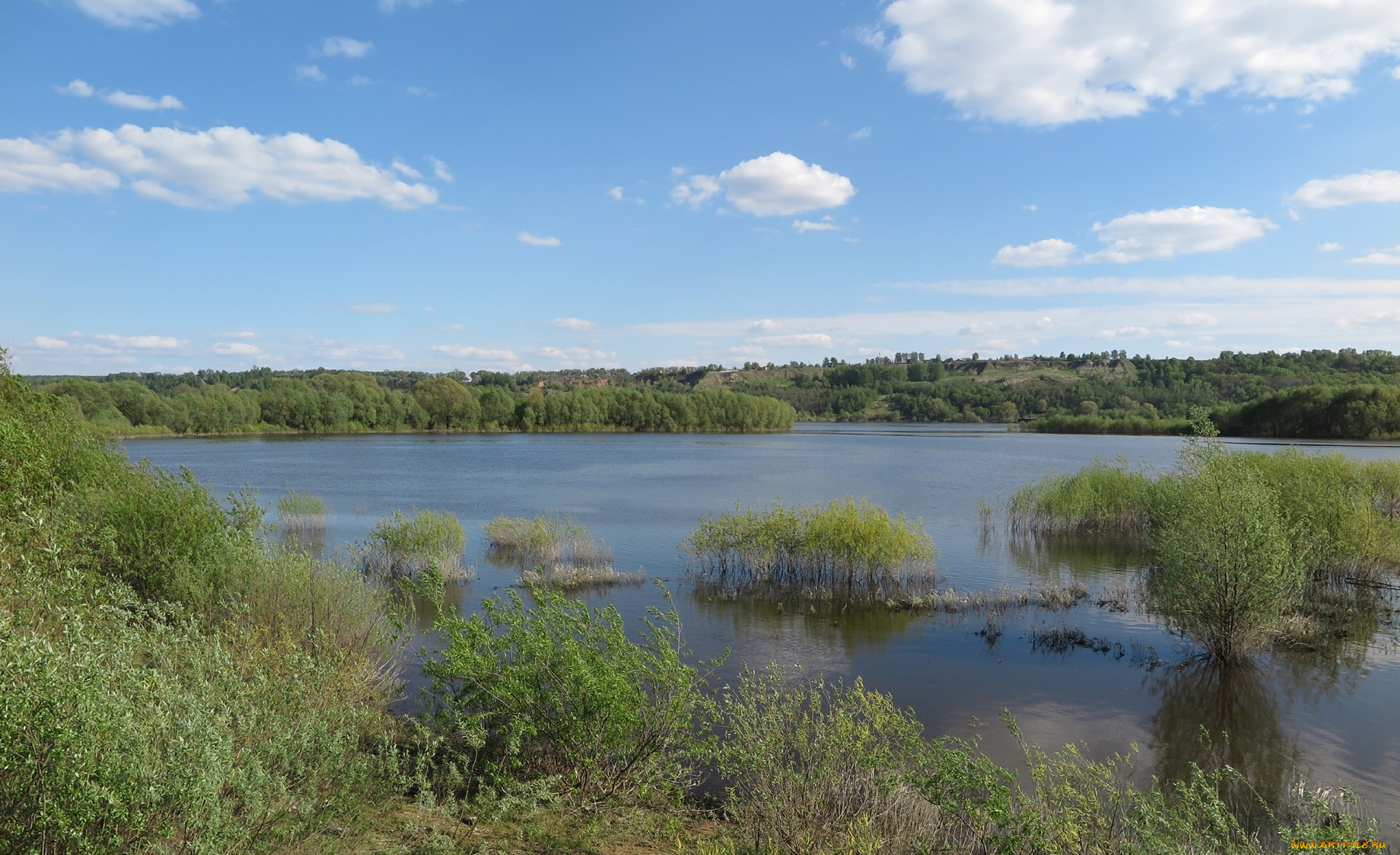 природа, реки, озера, деревья, река