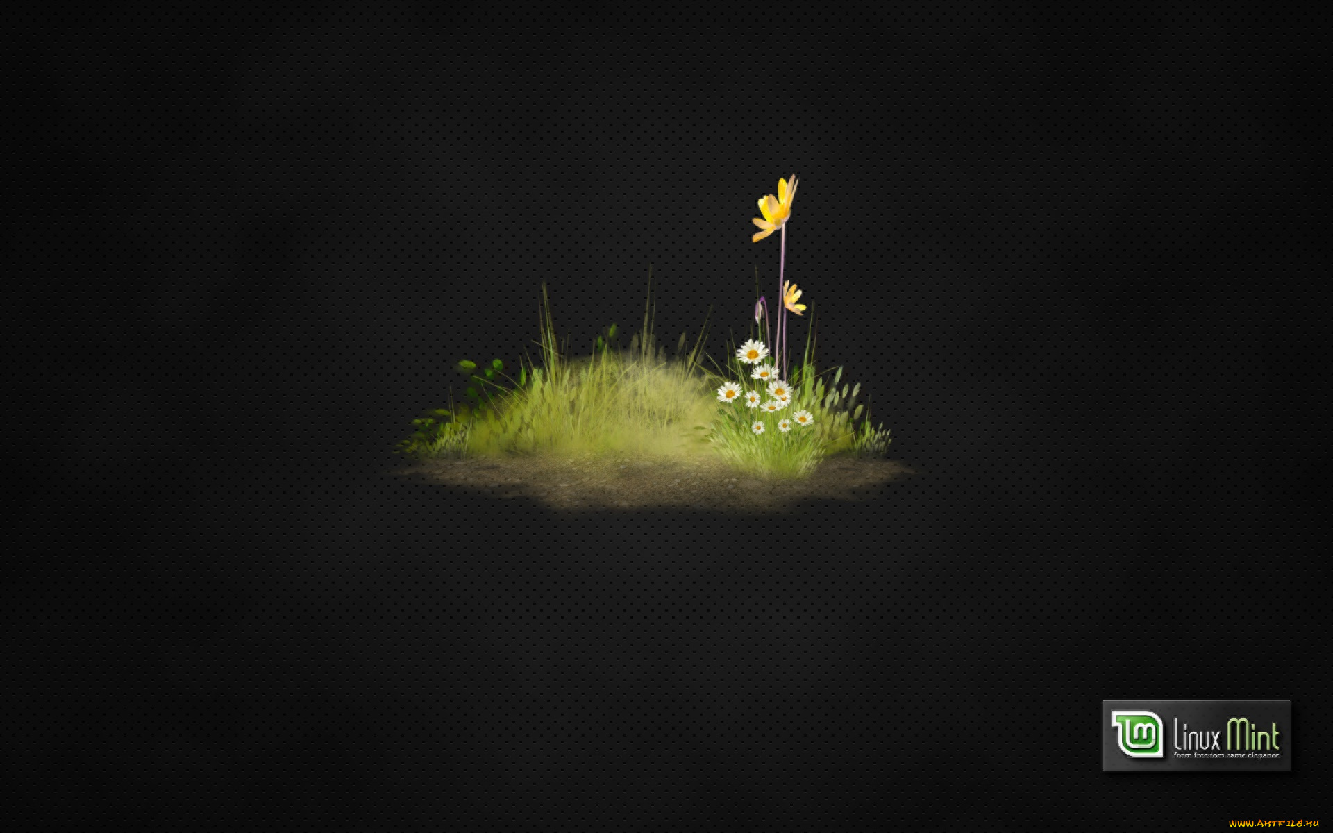 компьютеры, linux, фон, логотип