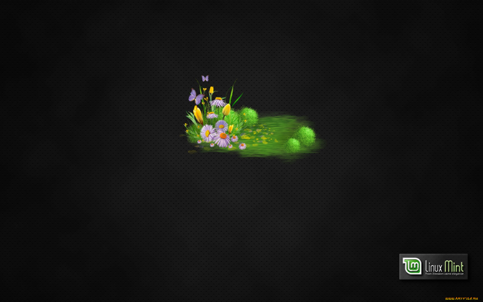 компьютеры, linux, логотип, фон