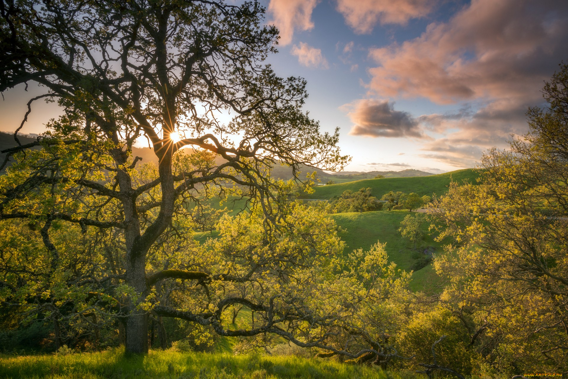 природа, пейзажи, простор