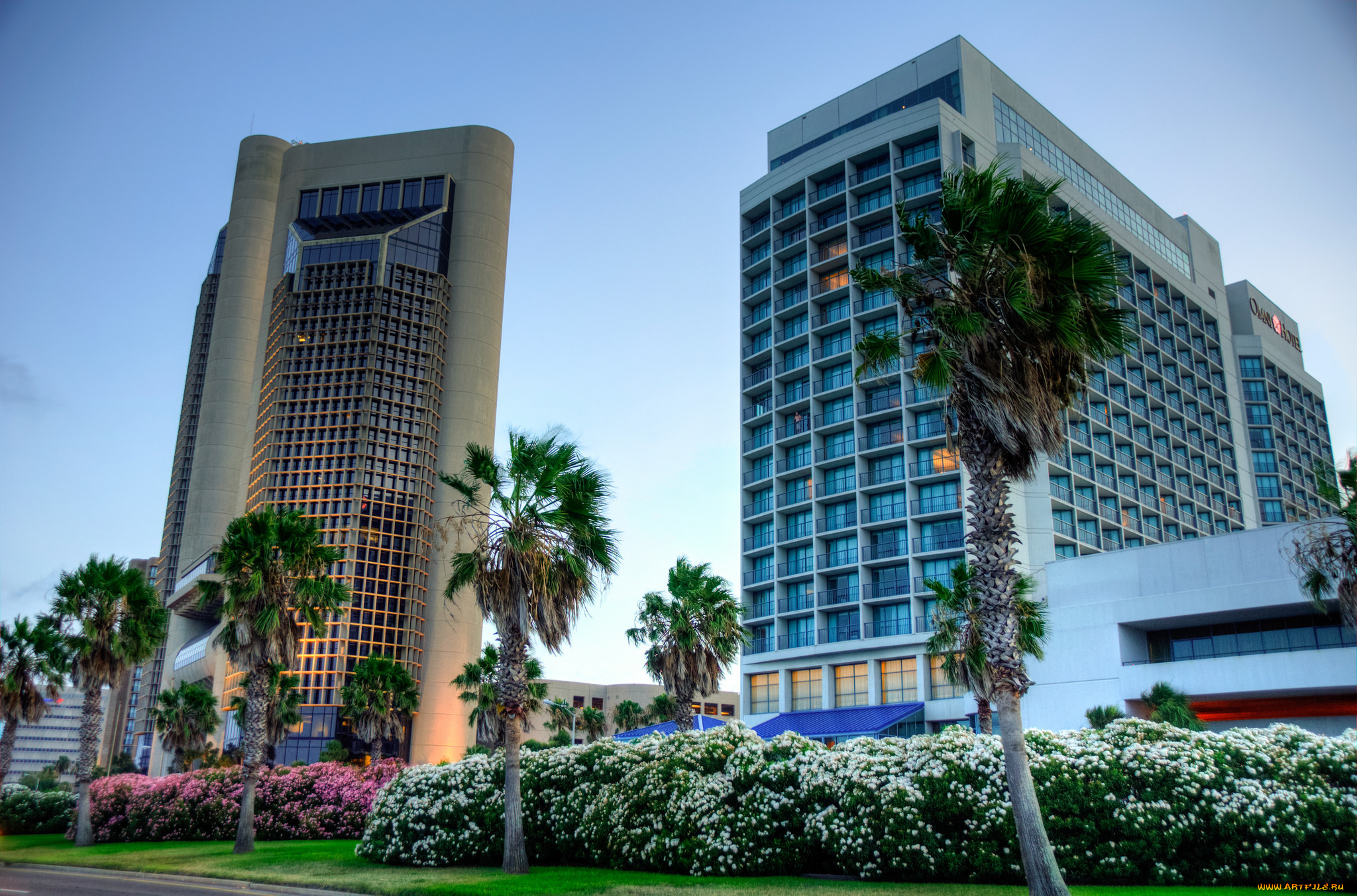 downtown, corpus, christi, , texas, города, -, здания, , дома, высотки