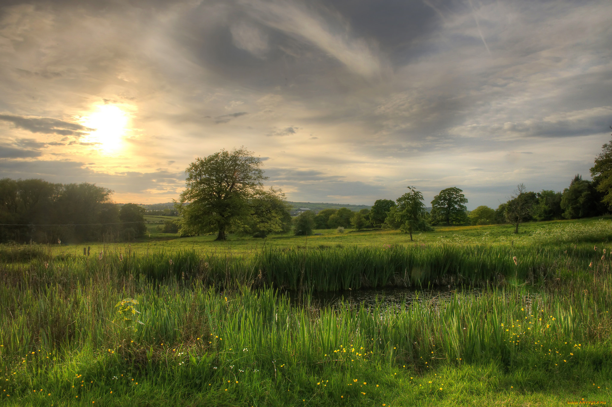 природа, пейзажи, простор