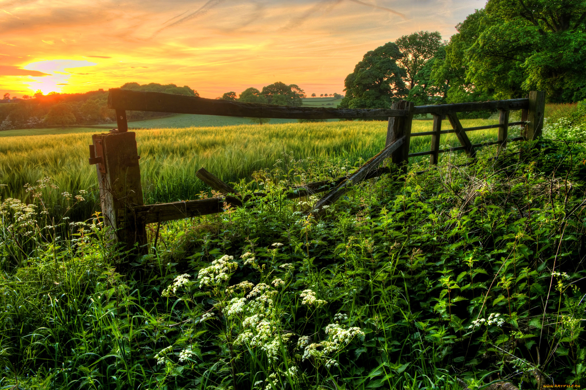 природа, пейзажи, простор