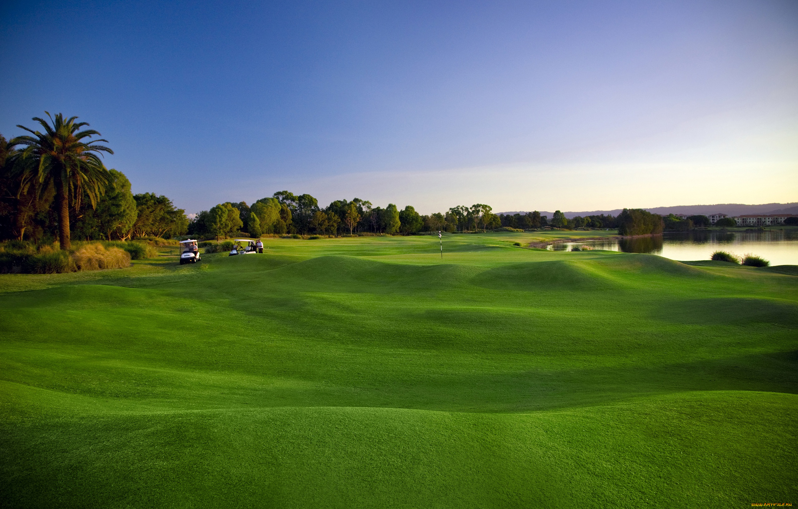 спорт, гольф, деревья, трава, газон, пальмы, поле, зелень, озеро, пейзаж