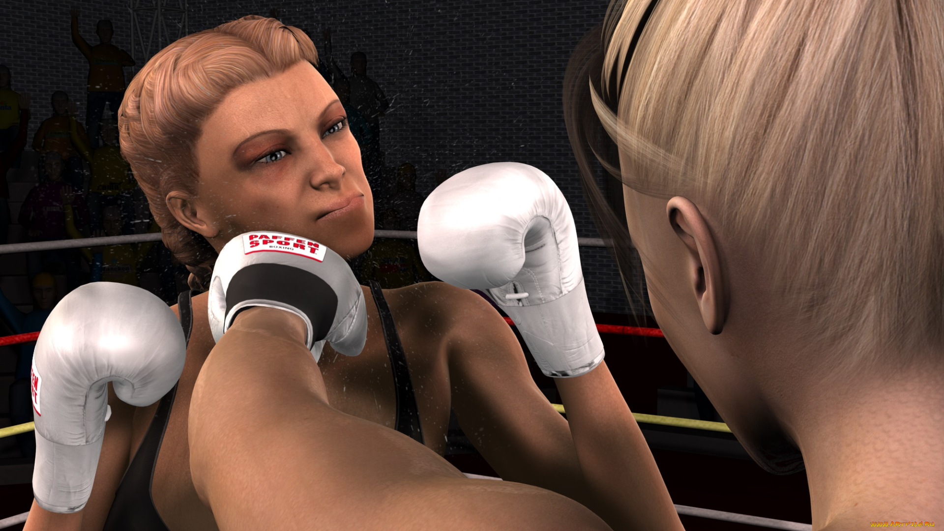 3д, графика, спорт, , sport, девушки, бокс, взгляд, фон, ринг