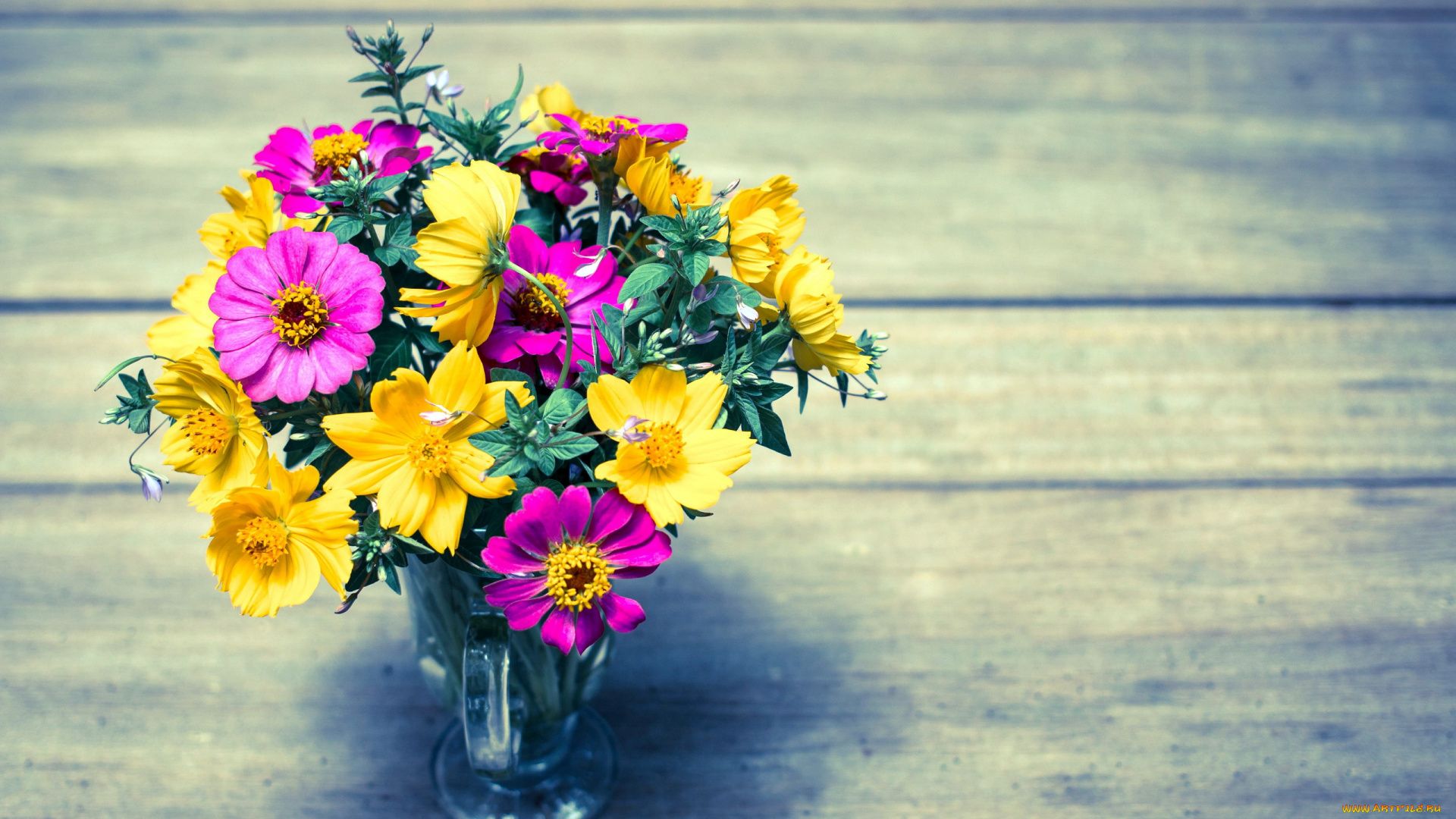 цветы, букеты, , композиции, цинния, космея