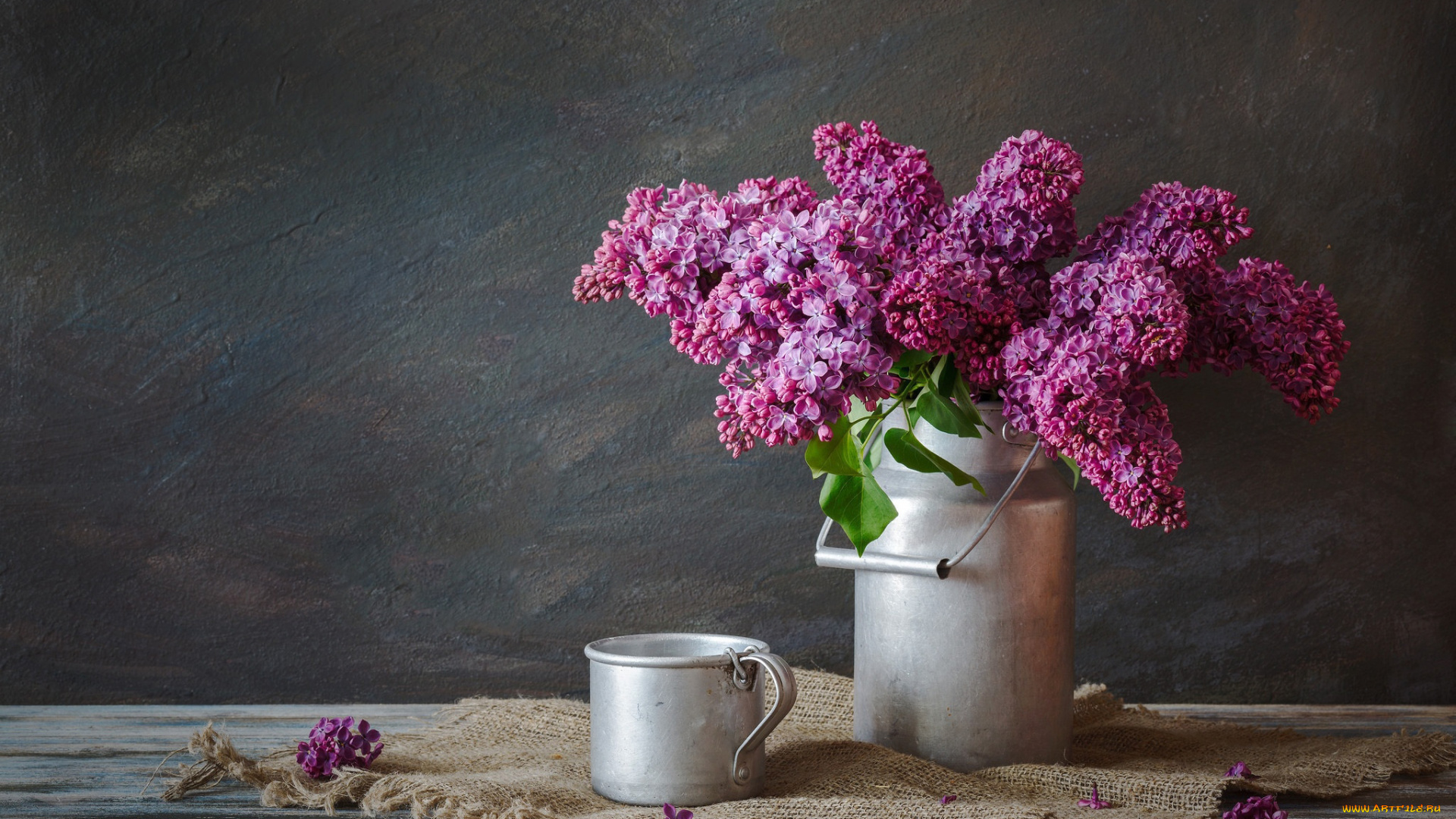 цветы, сирень, лиловый