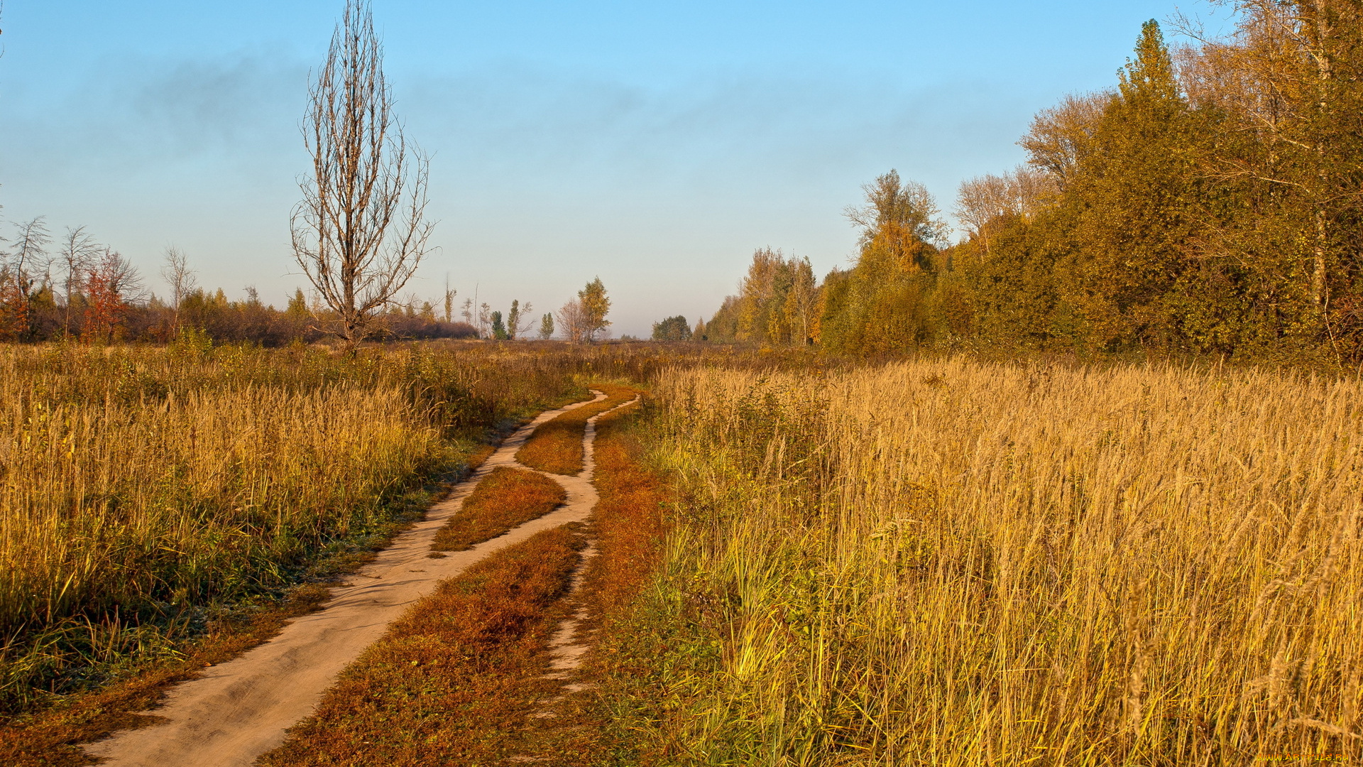 природа, дороги, дорога