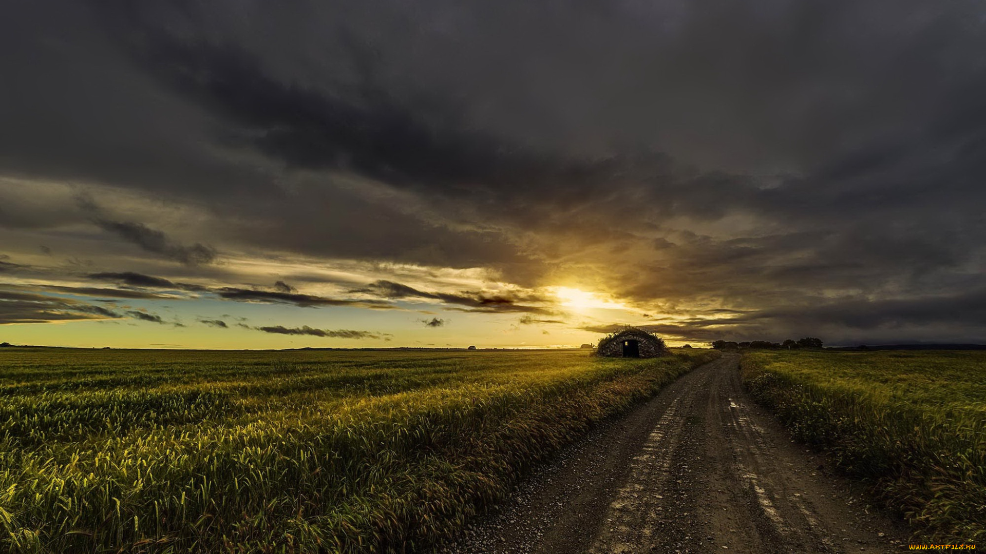 природа, дороги, дорога, поле, закат