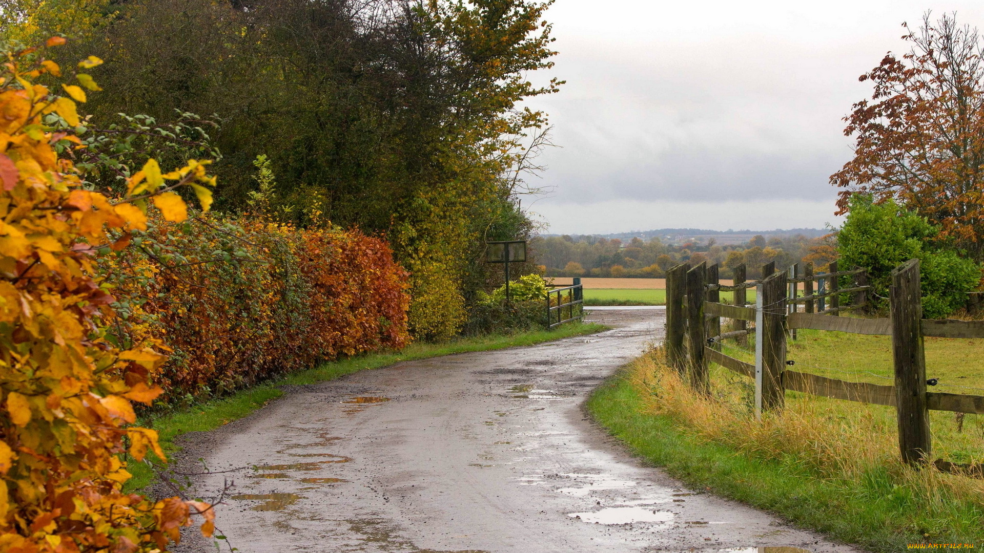 природа, дороги, осень, дорога, деревья, лес