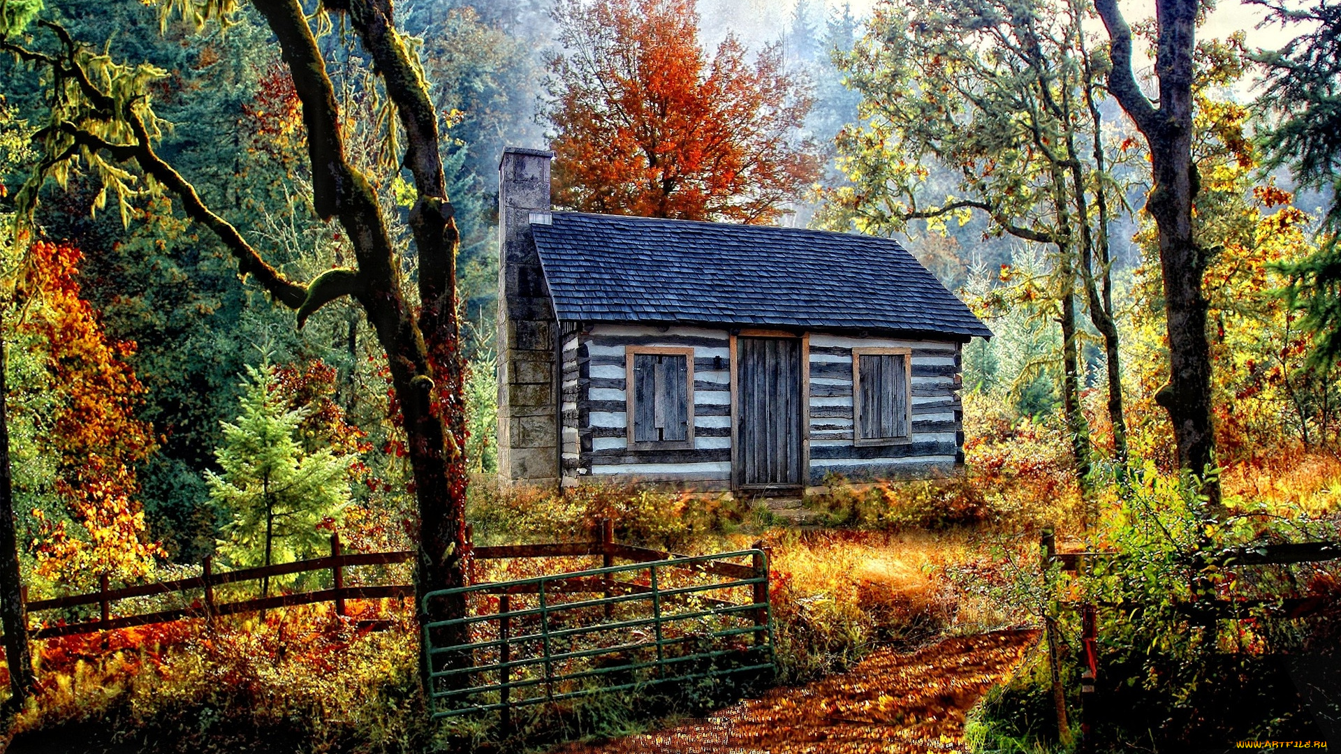 природа, лес, дорога, деревья, дом, осень