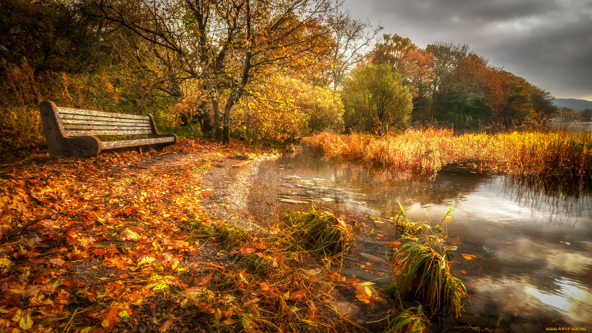 природа, реки, озера, простор