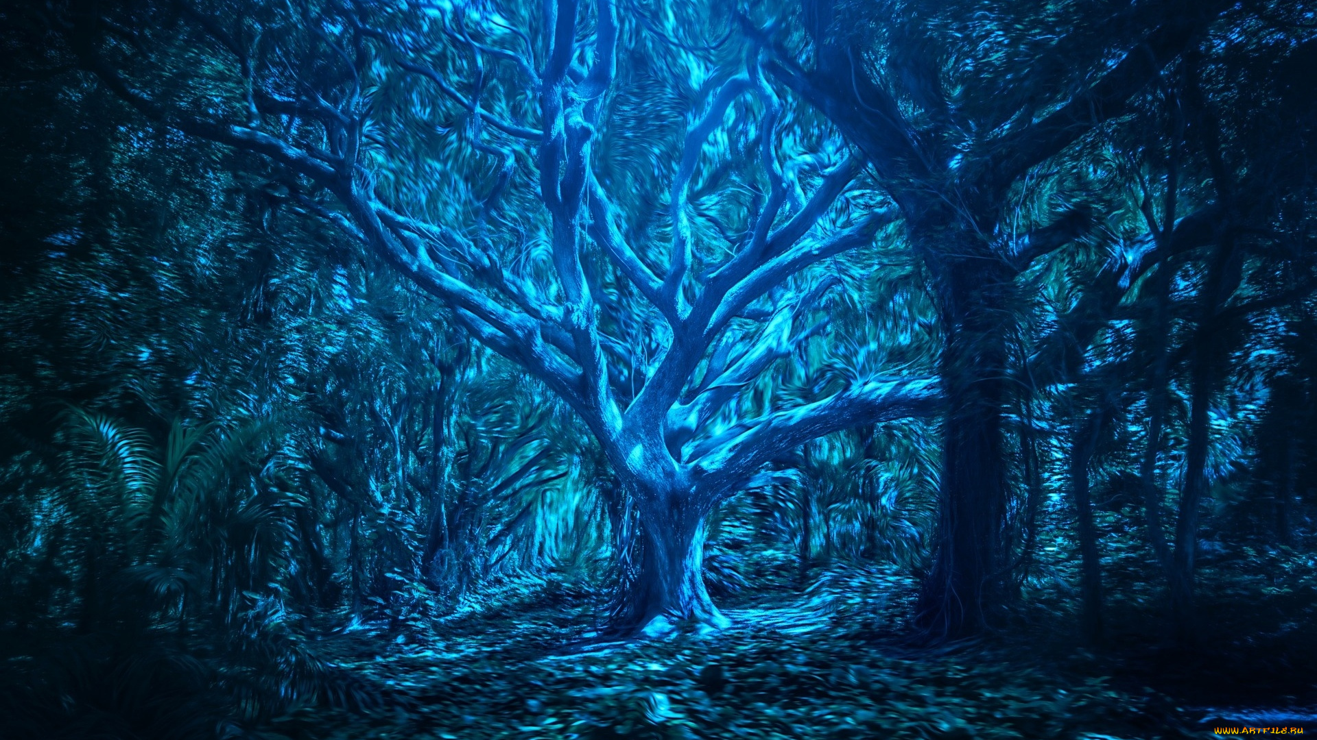 разное, компьютерный, дизайн, лес