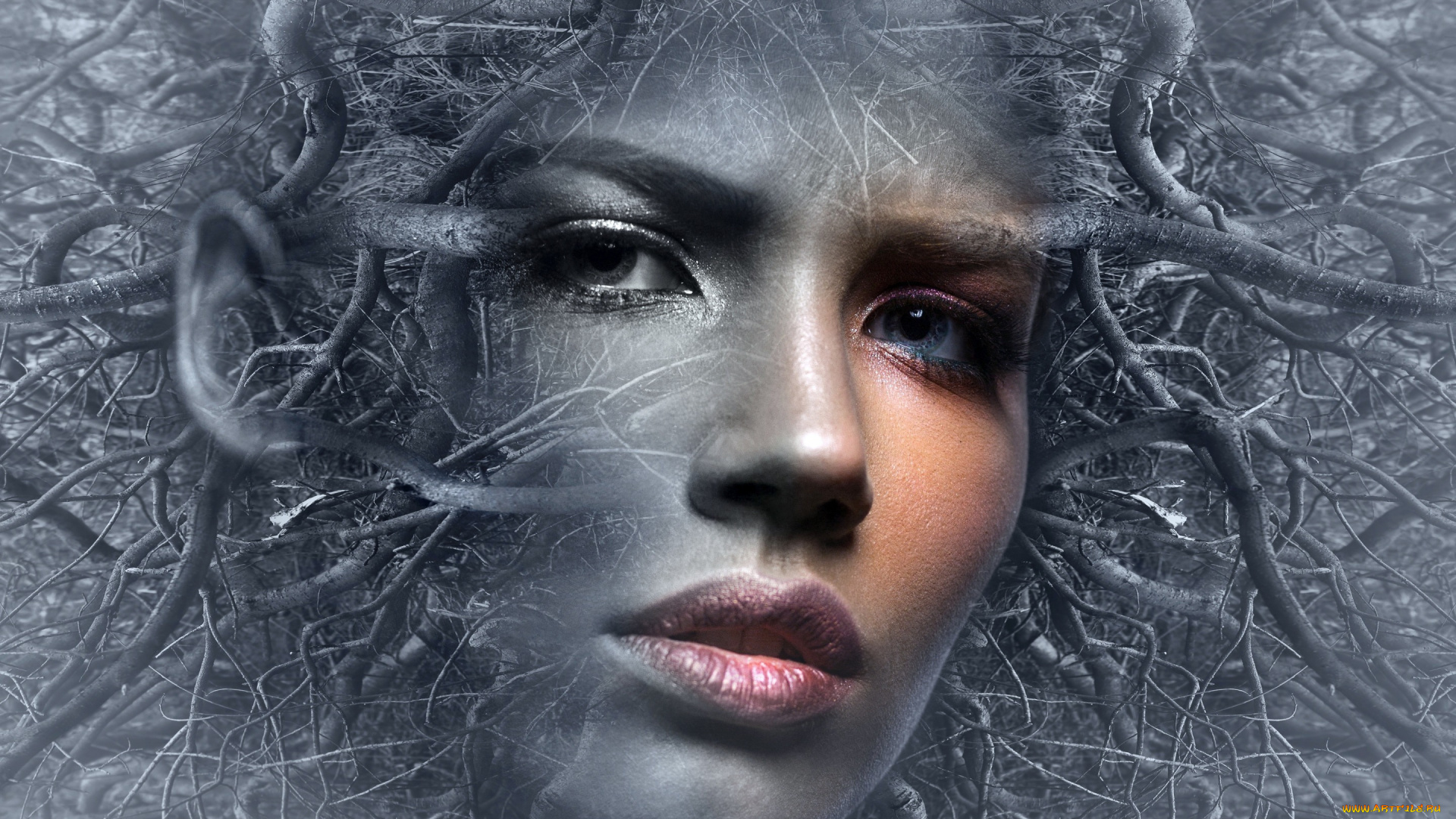 разное, компьютерный, дизайн, мысли, женщина, голова, сказка, мистический, фантазия, фото, лицо, сюрреалистический, человек, настроение, фэнтези, девушка