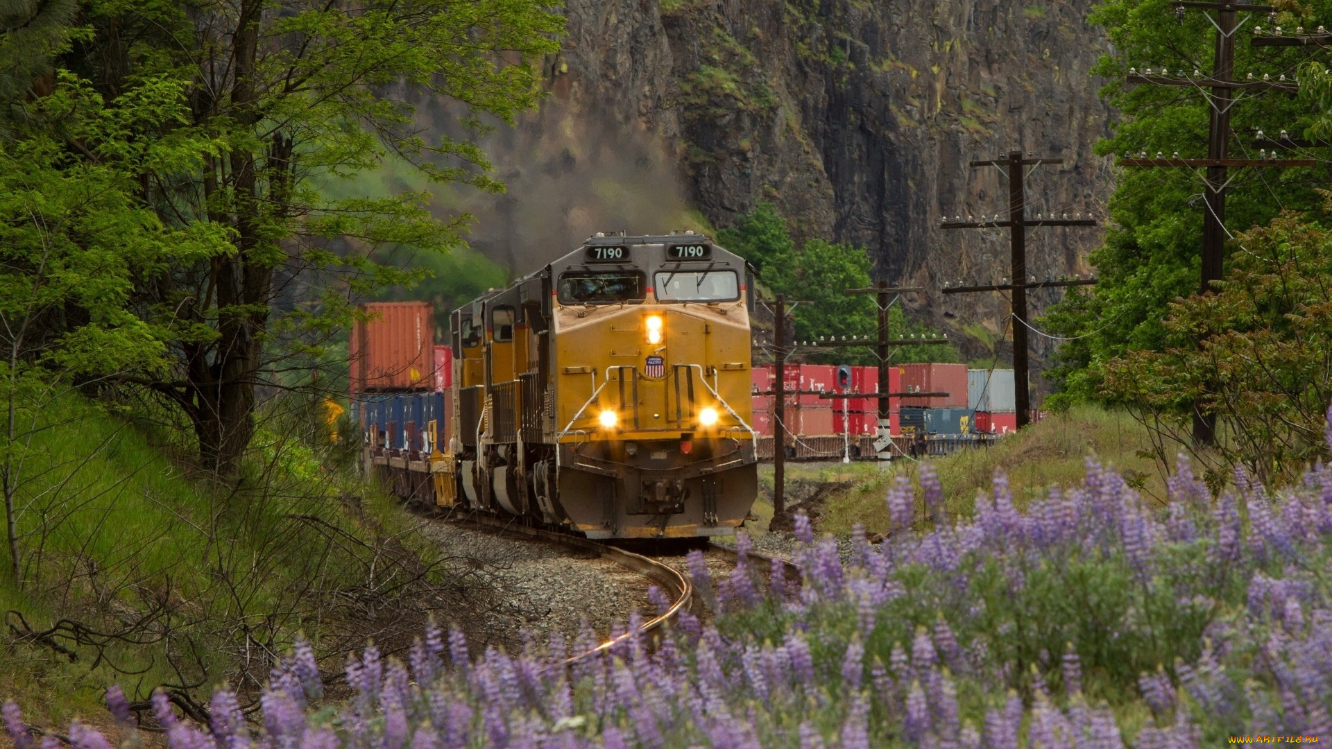 техника, паровозы, поезд, паровоз