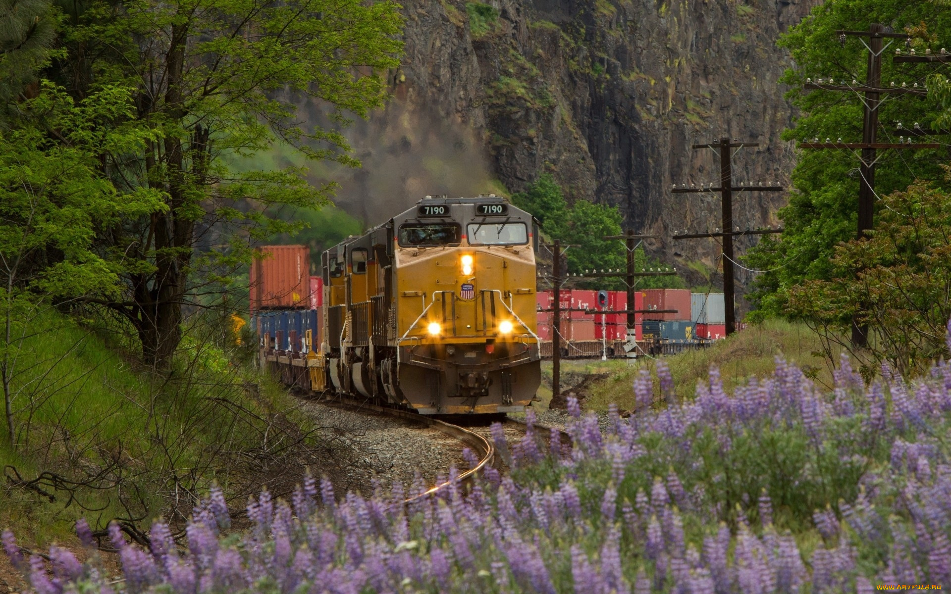 техника, паровозы, поезд, паровоз