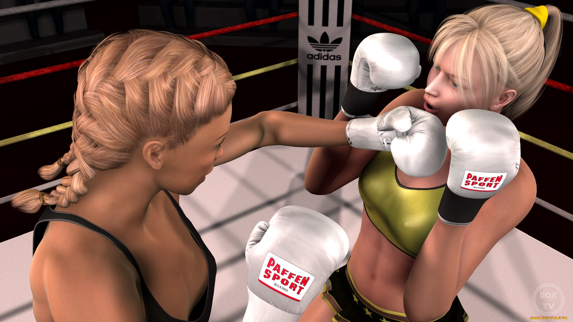 3д, графика, спорт, , sport, фон, взгляд, девушки, бокс, ринг