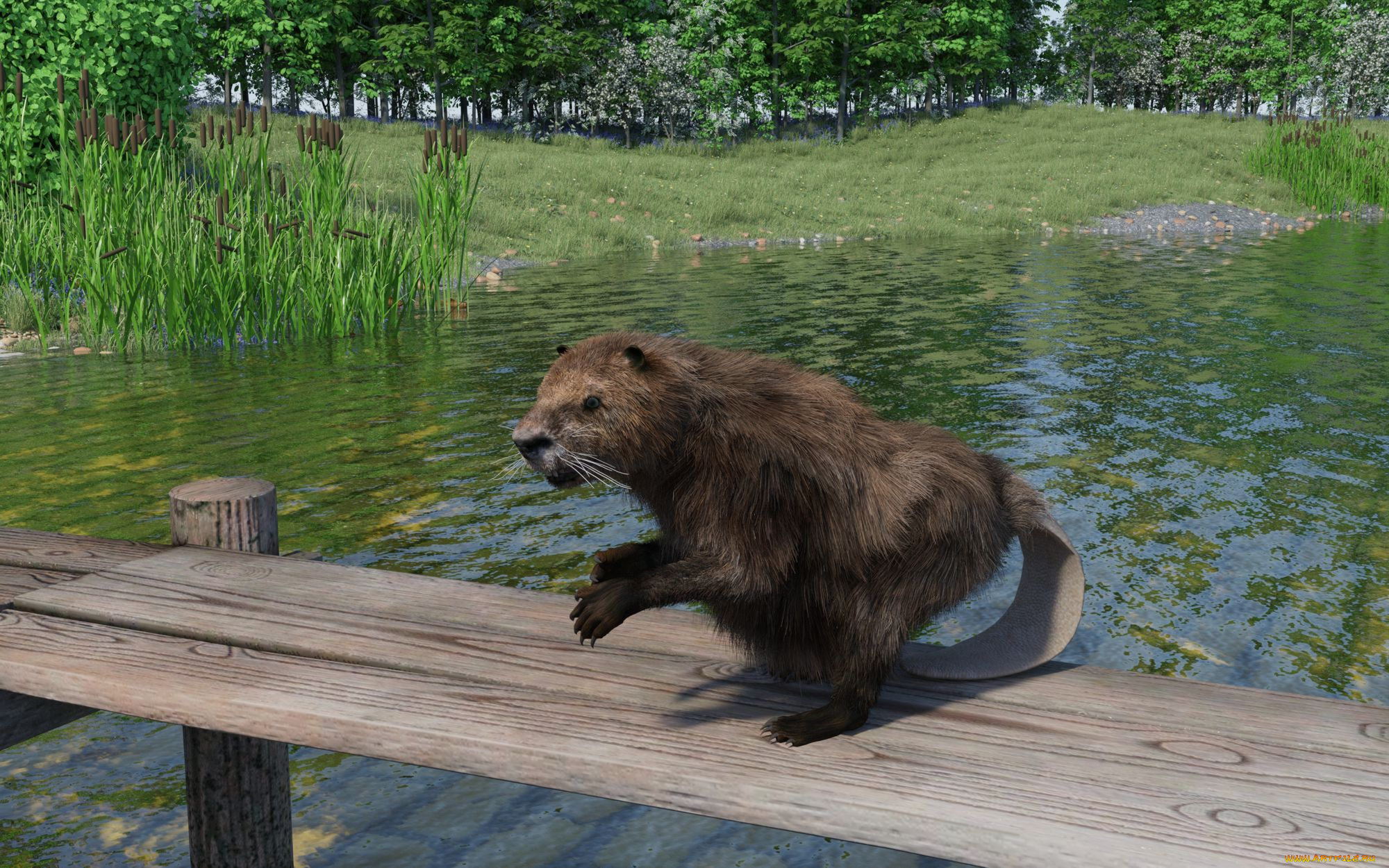 3д, графика, животные, , animals, зверек