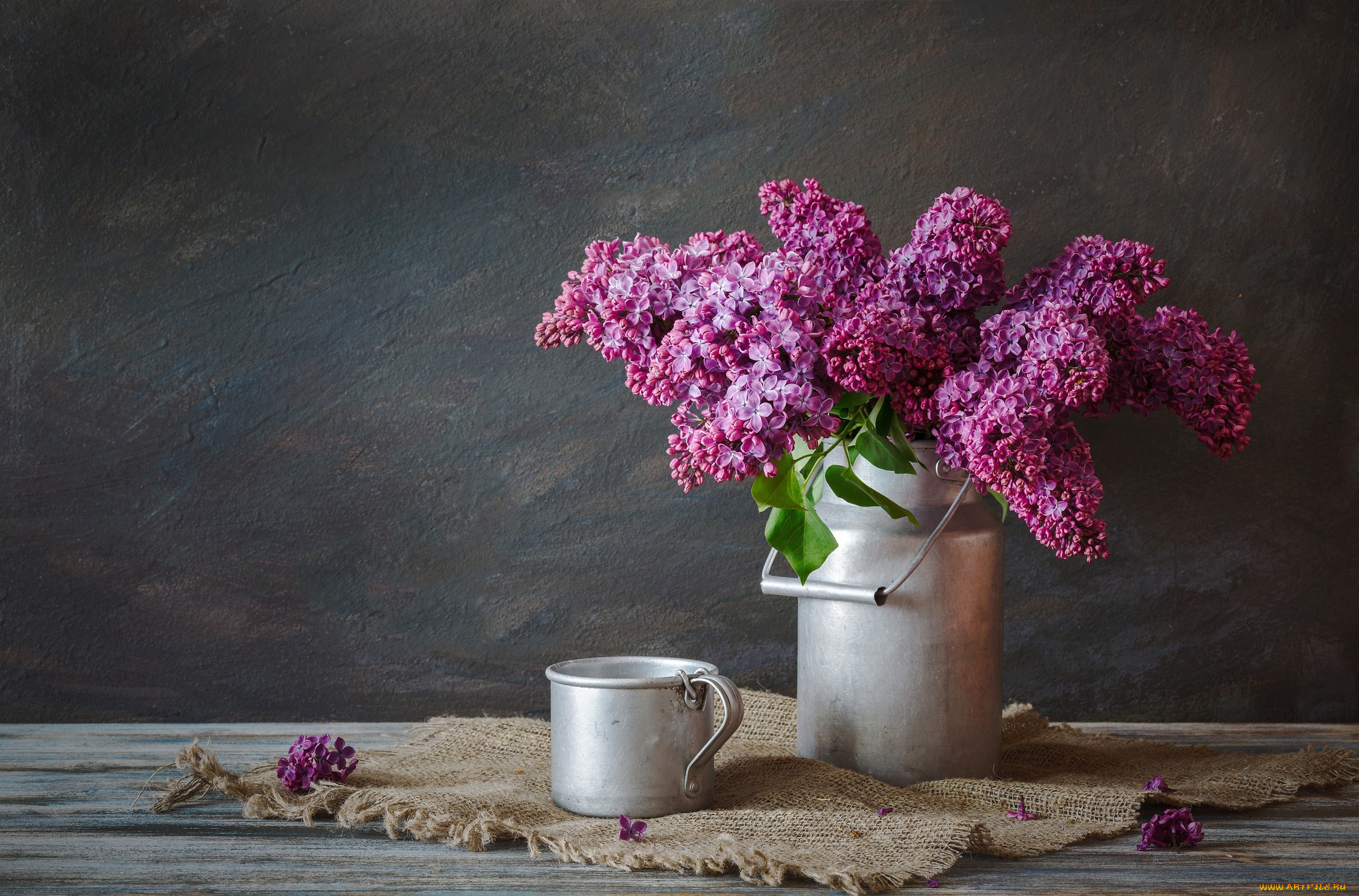 цветы, сирень, лиловый