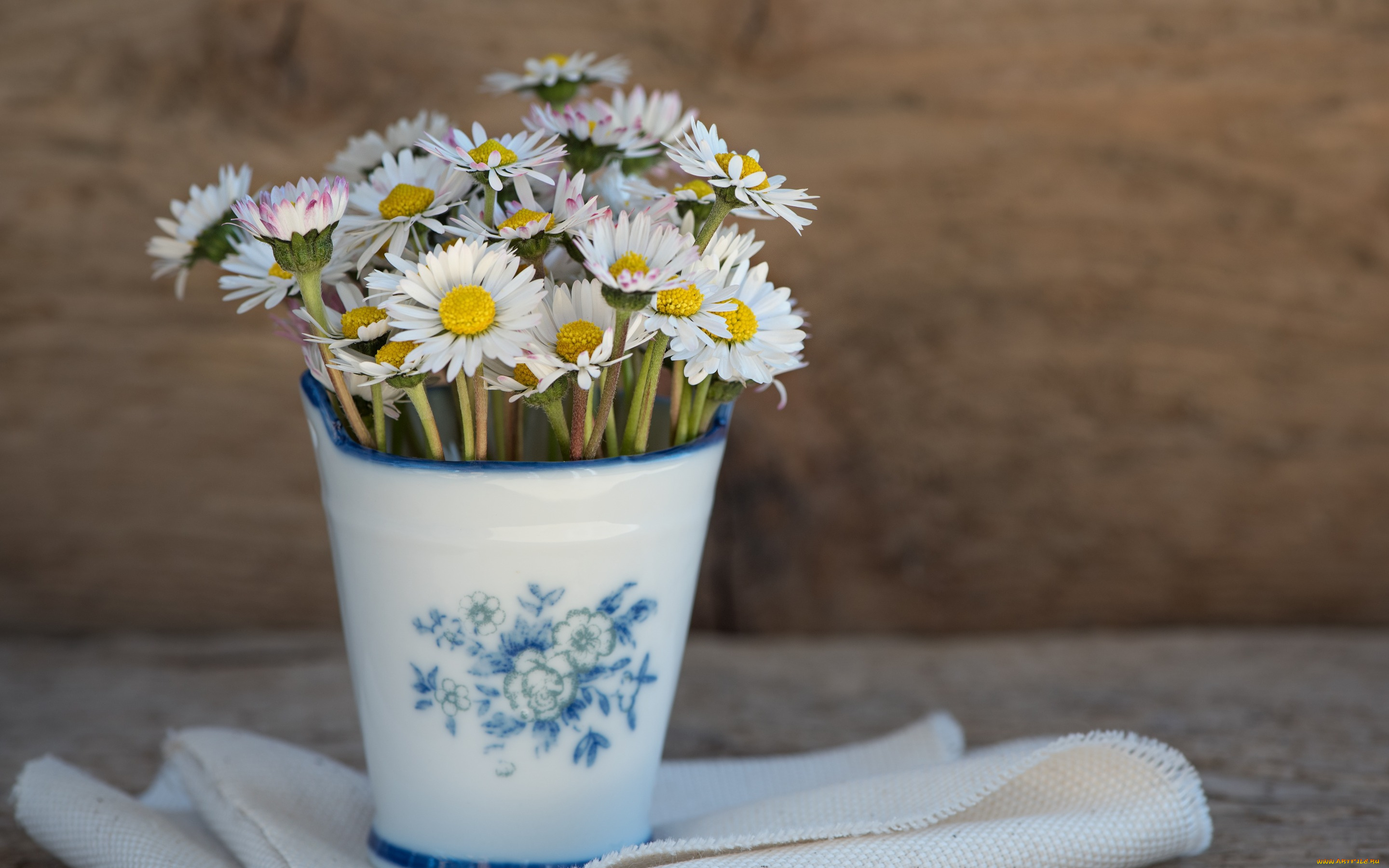 цветы, маргаритки, wood, ваза