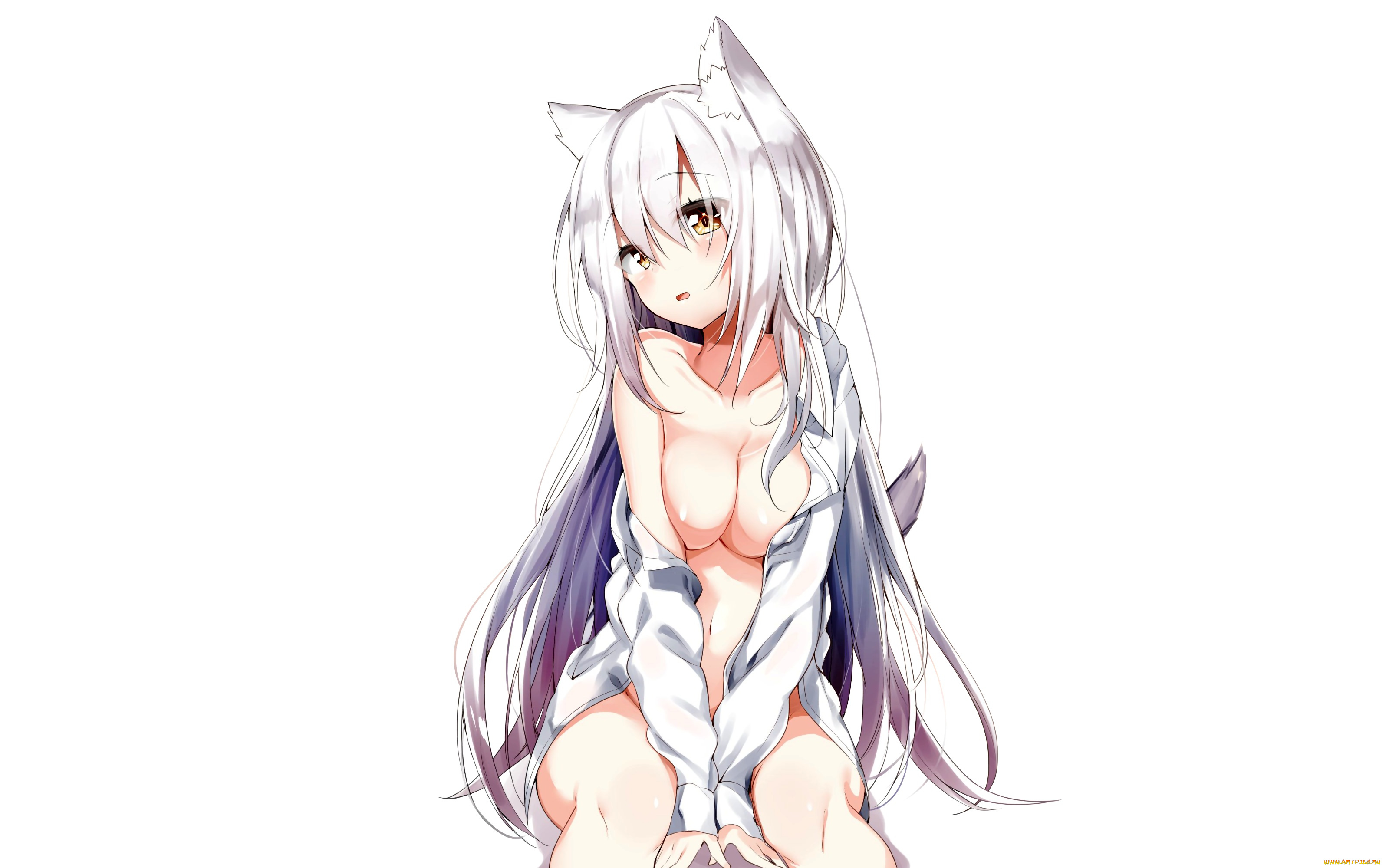 аниме, животные, , существа, фон, взгляд, девушка