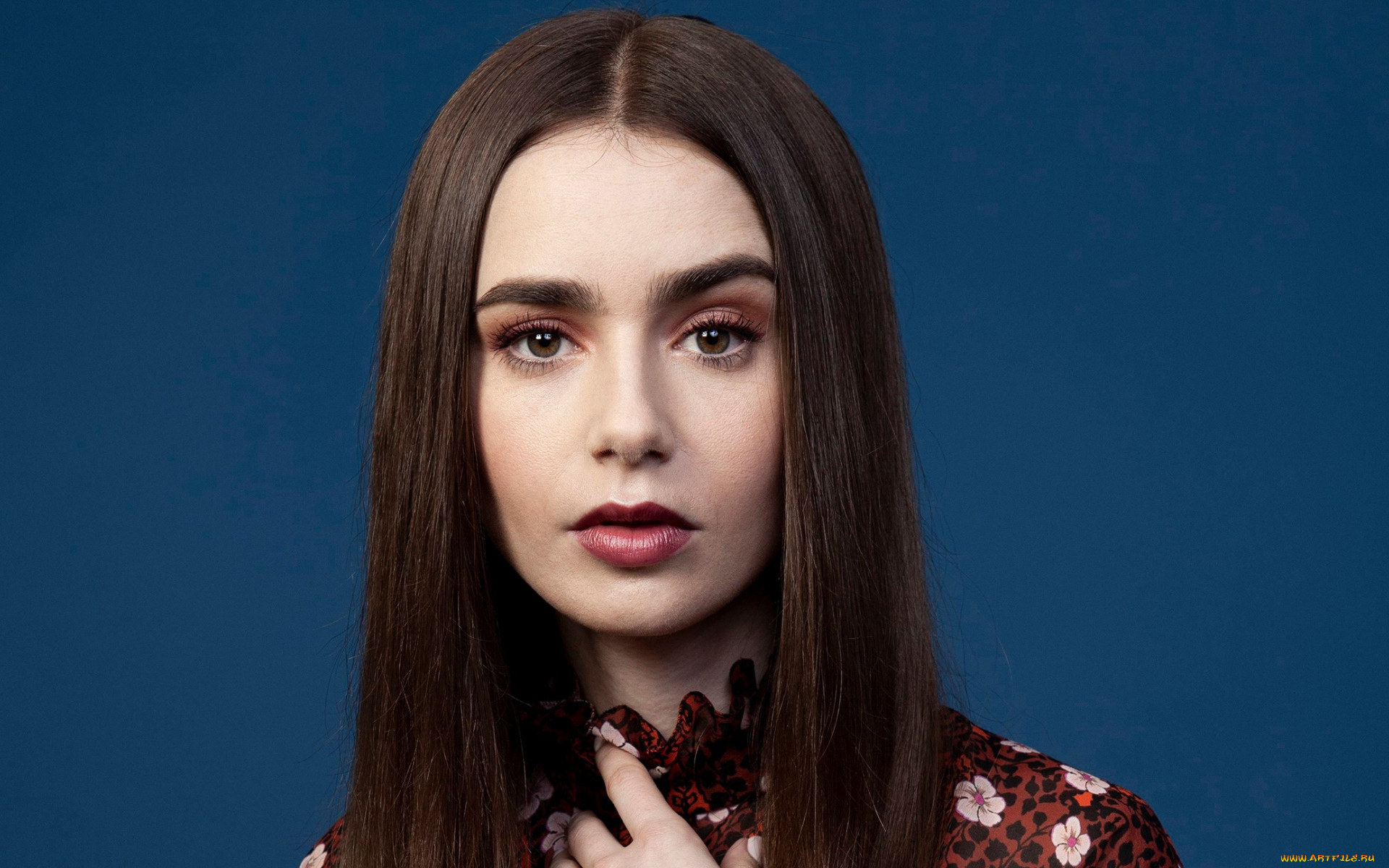 девушки, lily, collins, портрет