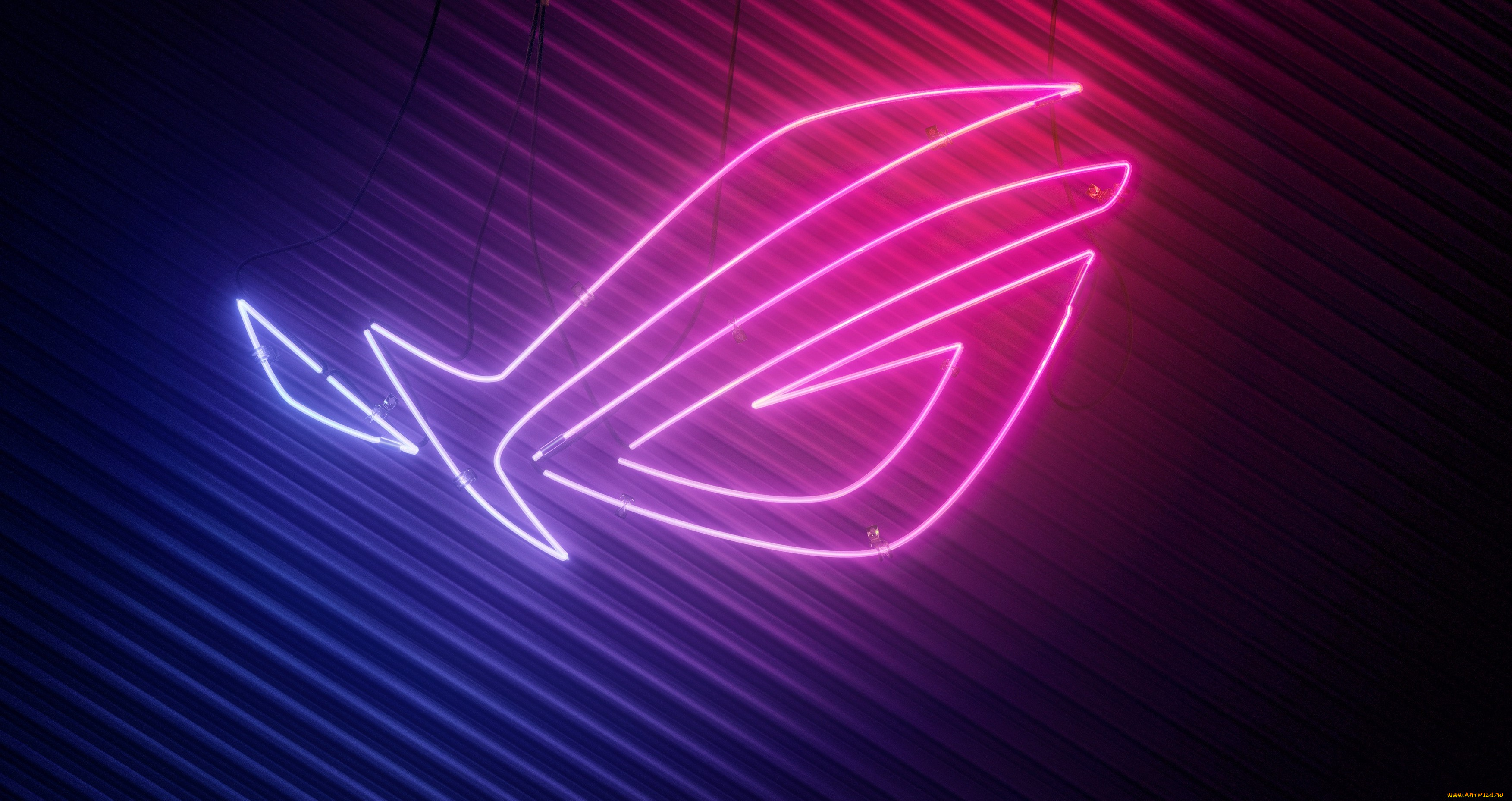 компьютеры, asus, rog