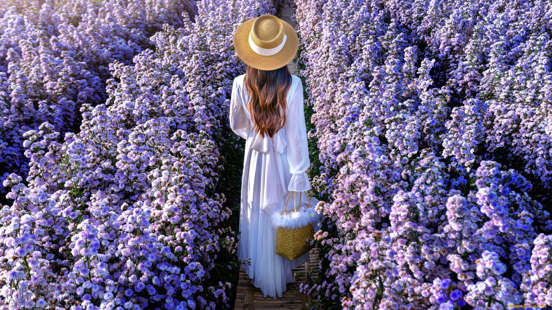 девушки, -, брюнетки, , шатенки, шатенка, шляпа, цветы